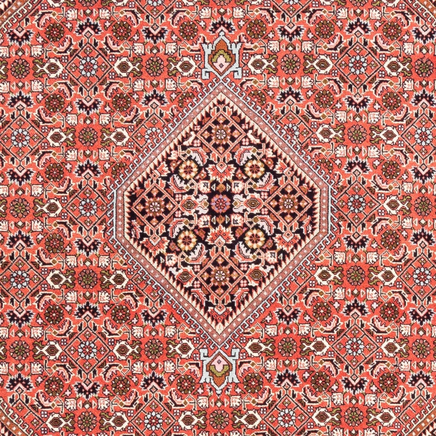 Persisk tæppe - Bijar - 235 x 168 cm - rød