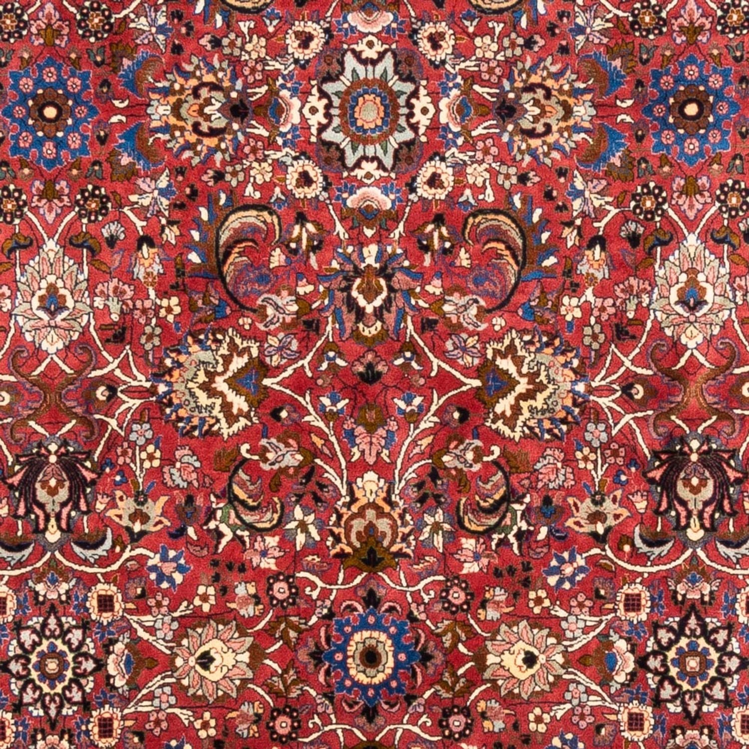 Persisk tæppe - Bijar - Royal - 246 x 197 cm - bordeaux rød