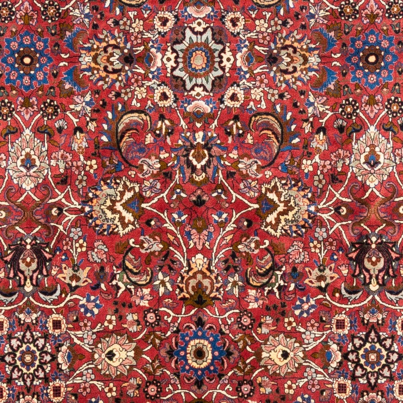 Persisk tæppe - Bijar - Royal - 246 x 197 cm - bordeaux rød