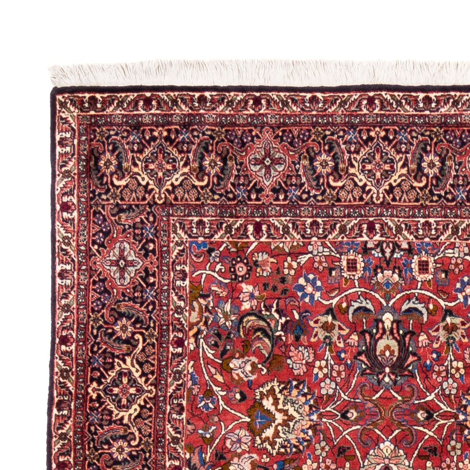 Persisk tæppe - Bijar - Royal - 246 x 197 cm - bordeaux rød