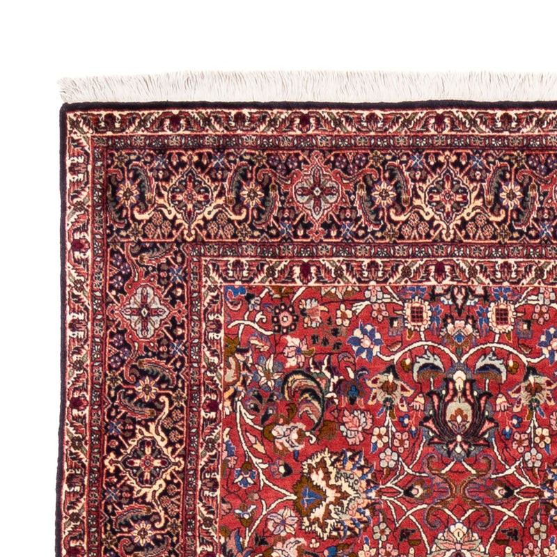 Persisk tæppe - Bijar - Royal - 246 x 197 cm - bordeaux rød