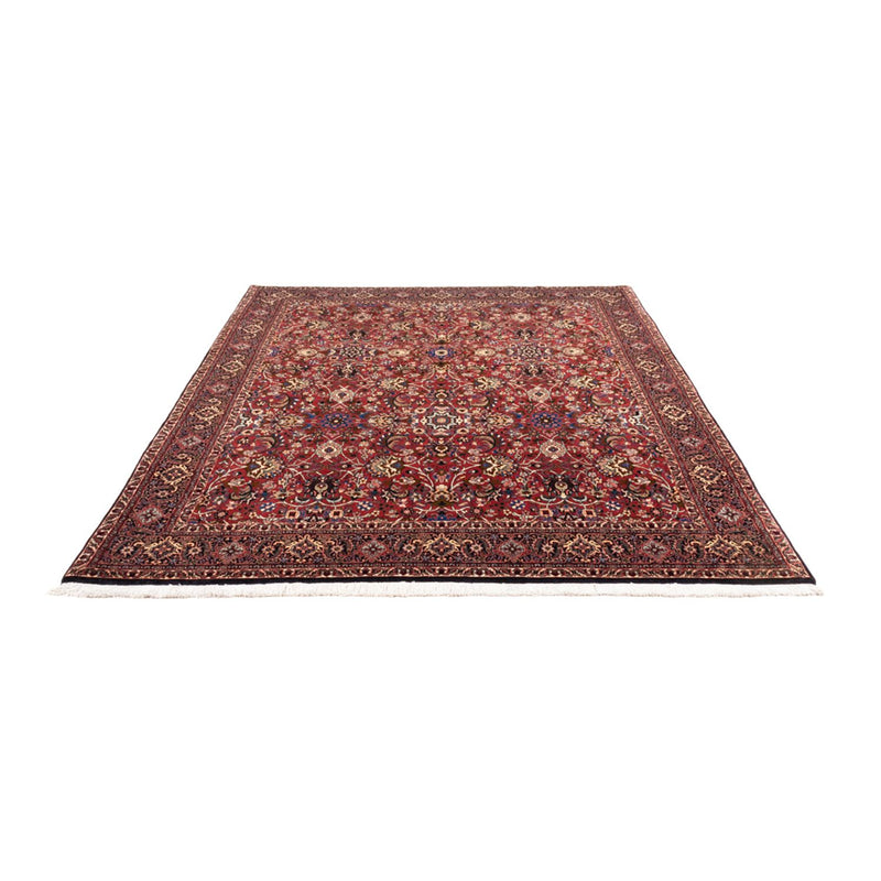 Persisk tæppe - Bijar - Royal - 246 x 197 cm - bordeaux rød