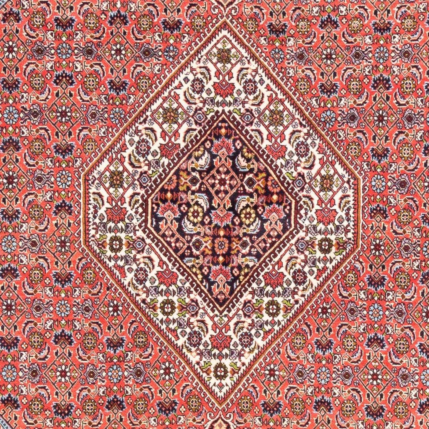 Persisk tæppe - Bijar - 243 x 170 cm - rød