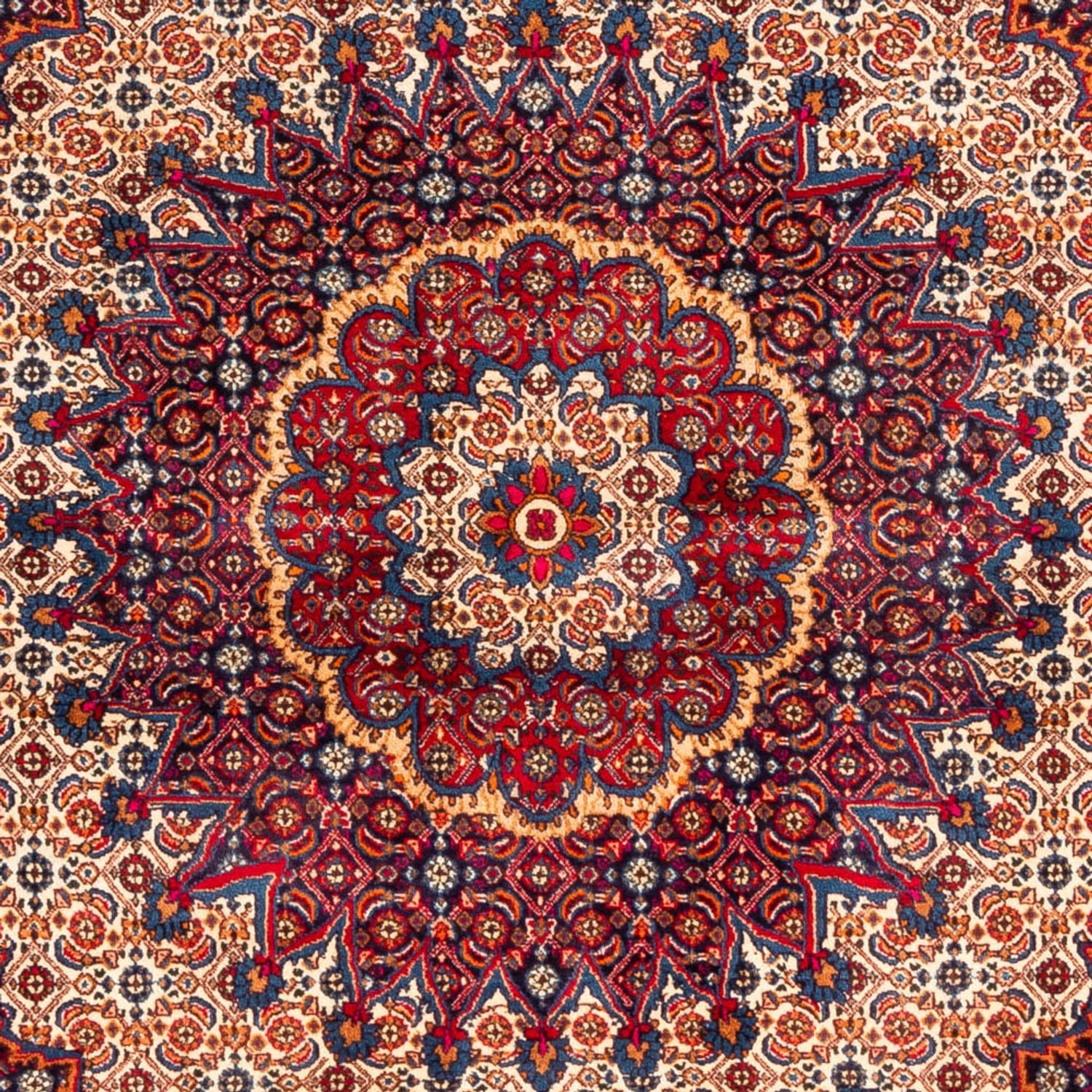Persisk tæppe - Classic - 262 x 217 cm - rød