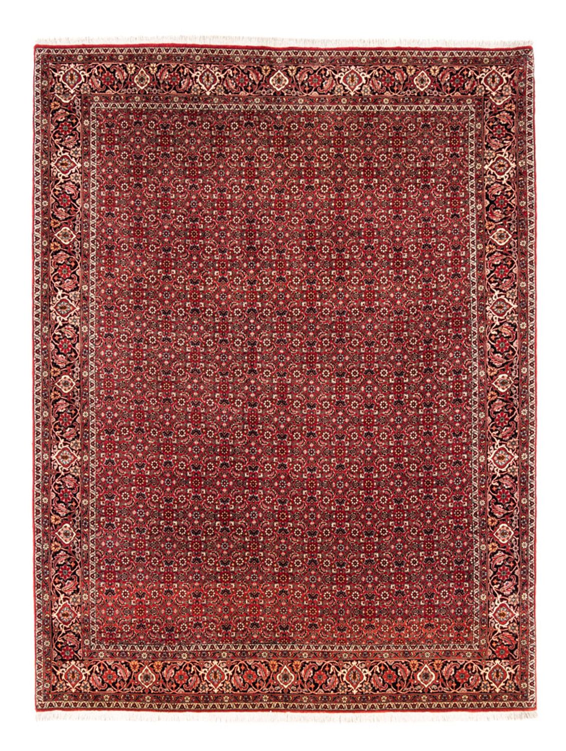 Persisk tæppe - Bijar - 238 x 178 cm - rød