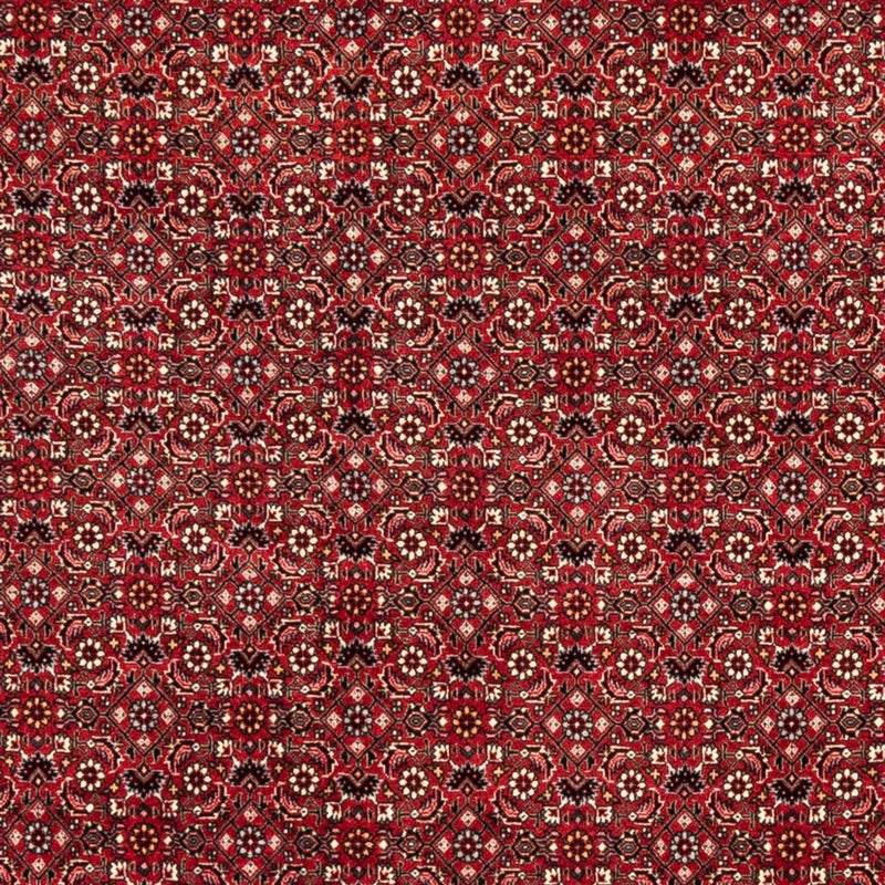 Persisk tæppe - Bijar - 238 x 178 cm - rød