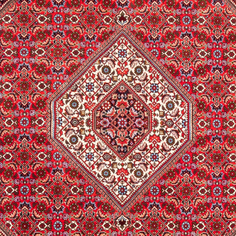 Persisk tæppe - Bijar - 253 x 170 cm - rød