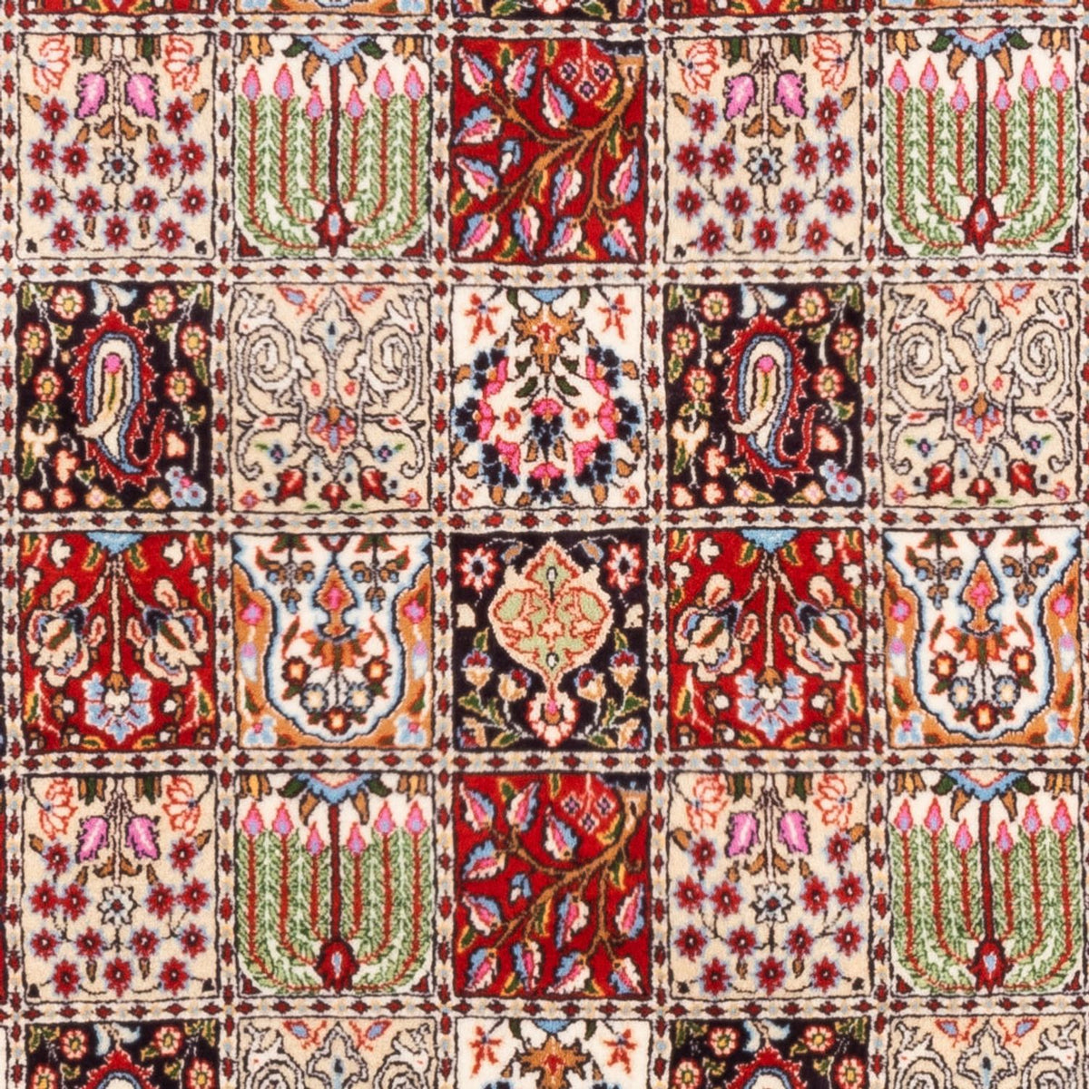 Persisk tæppe - Classic - 244 x 165 cm - flerfarvet