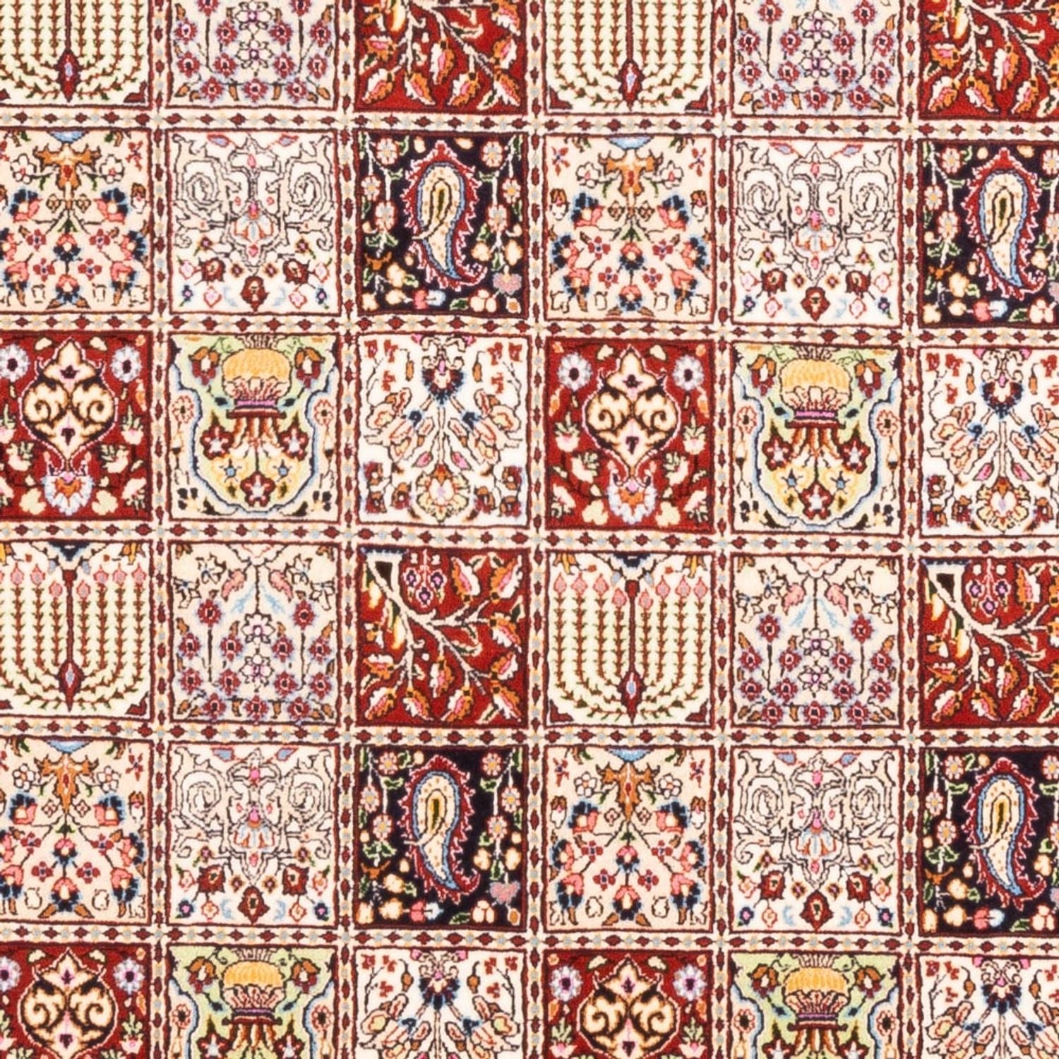 Persisk tæppe - Classic - 290 x 197 cm - flerfarvet