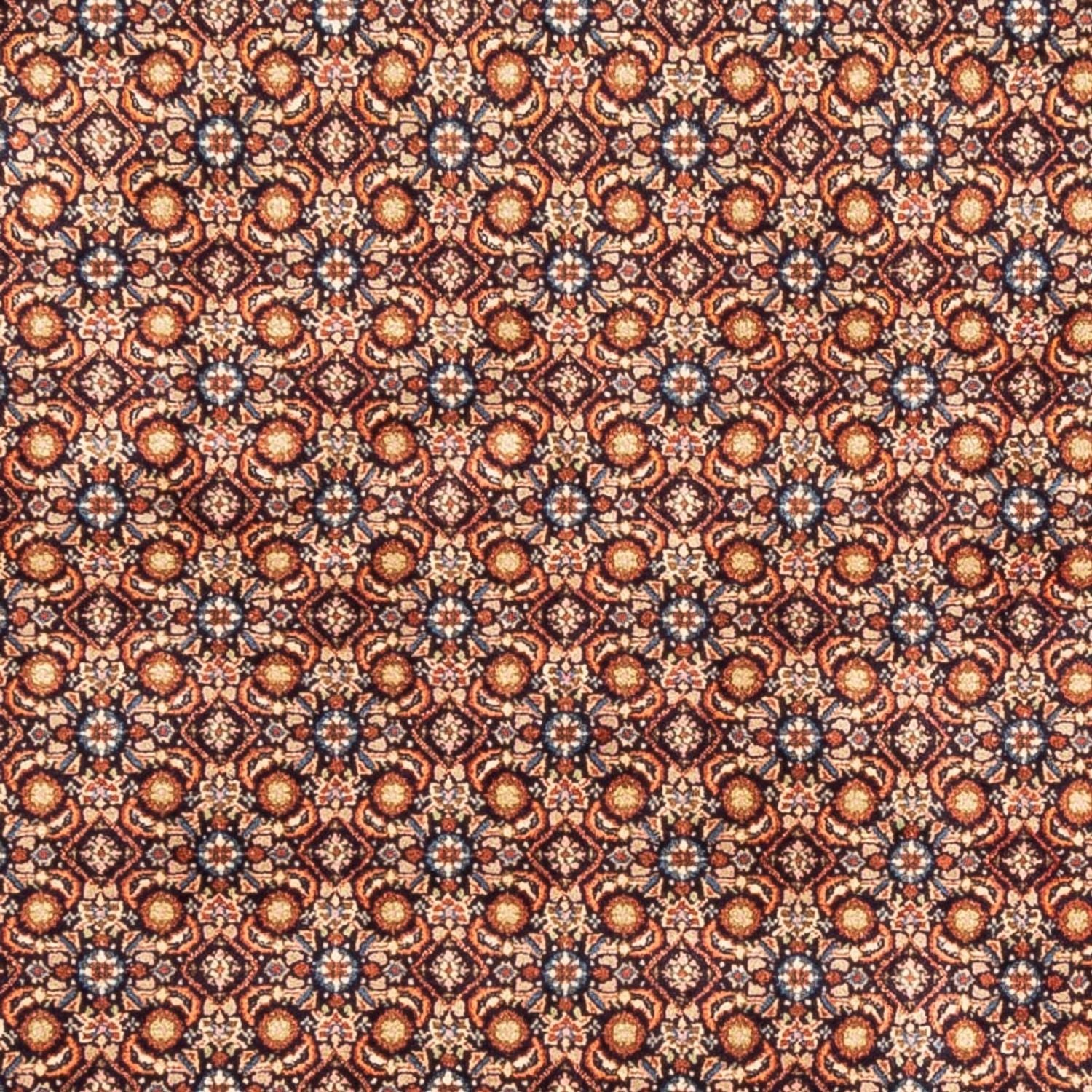 Persisk tæppe - Classic - 246 x 193 cm - mørk beige