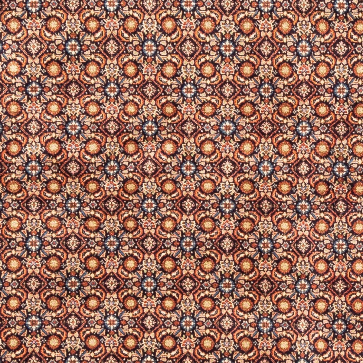 Persisk tæppe - Classic - 246 x 193 cm - mørk beige