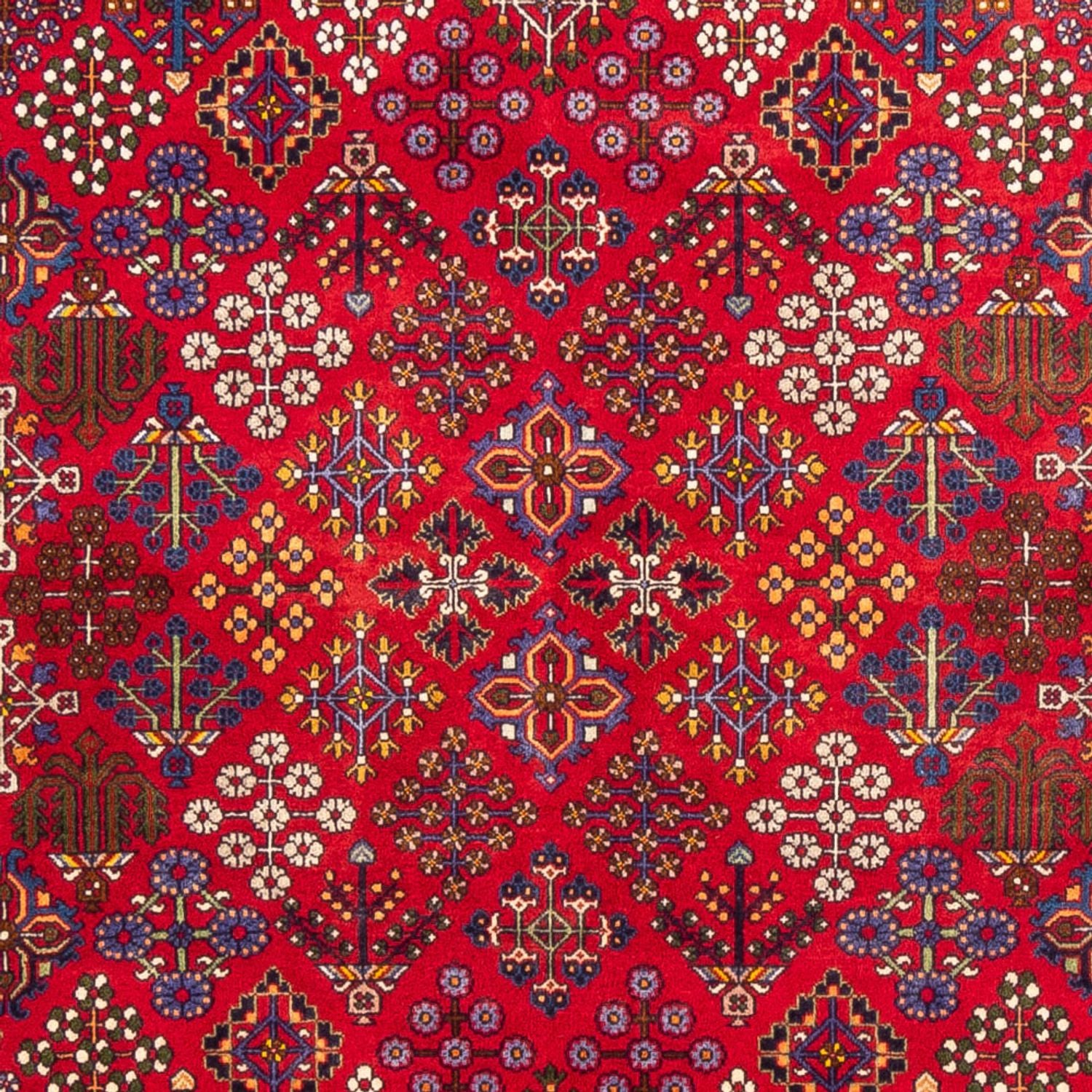 Persisk tæppe - Classic - 258 x 168 cm - rød