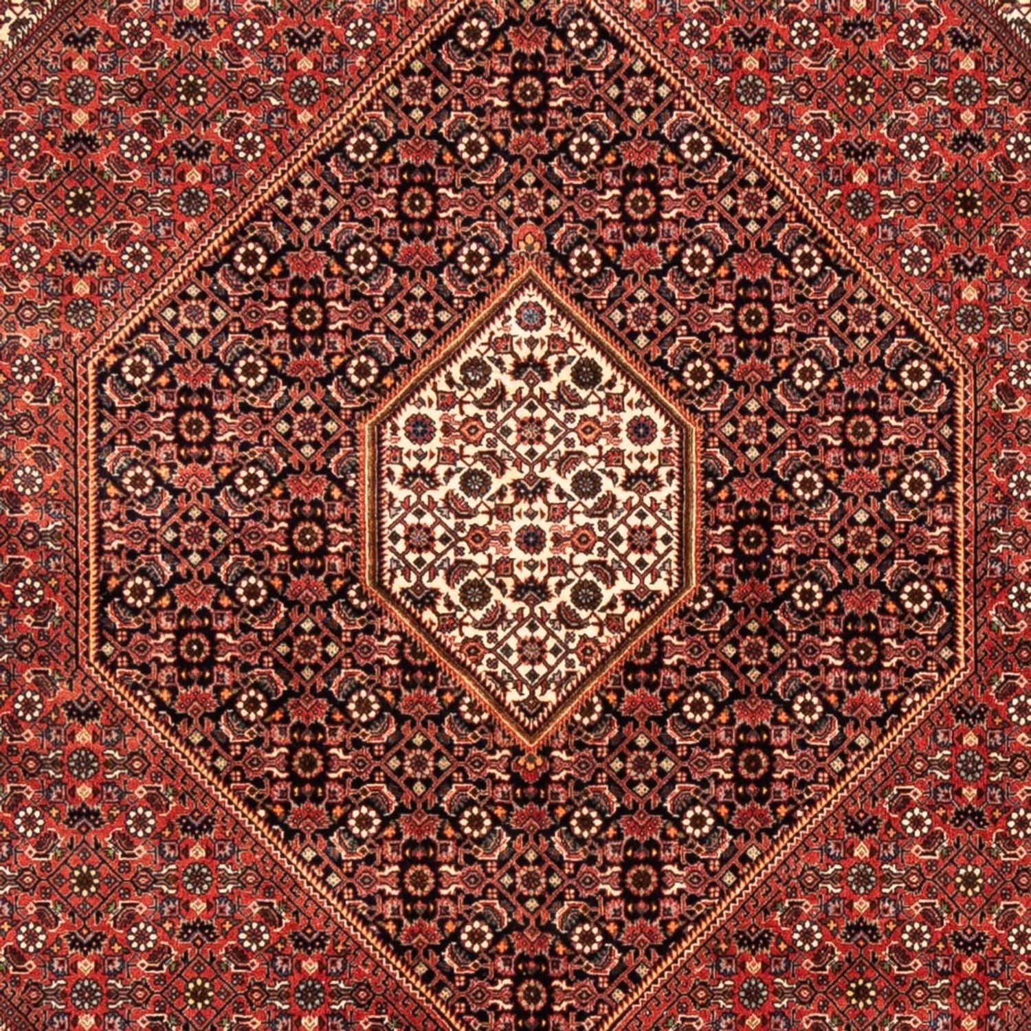 Persisk tæppe - Bijar - 235 x 170 cm - rød