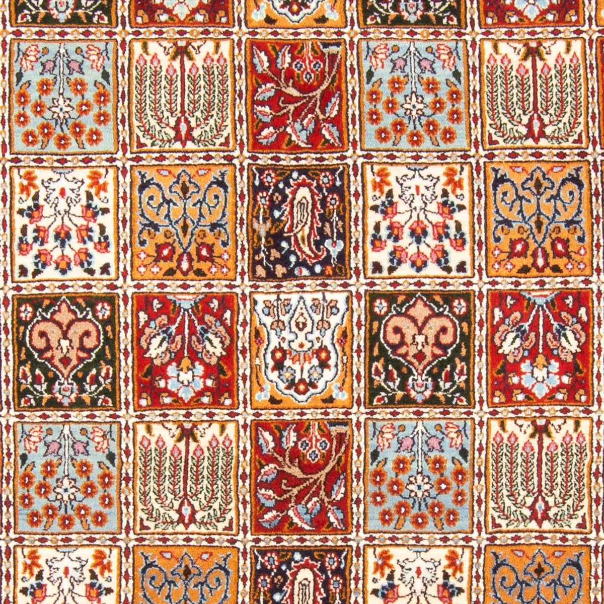 Persisk tæppe - Classic - 228 x 167 cm - flerfarvet