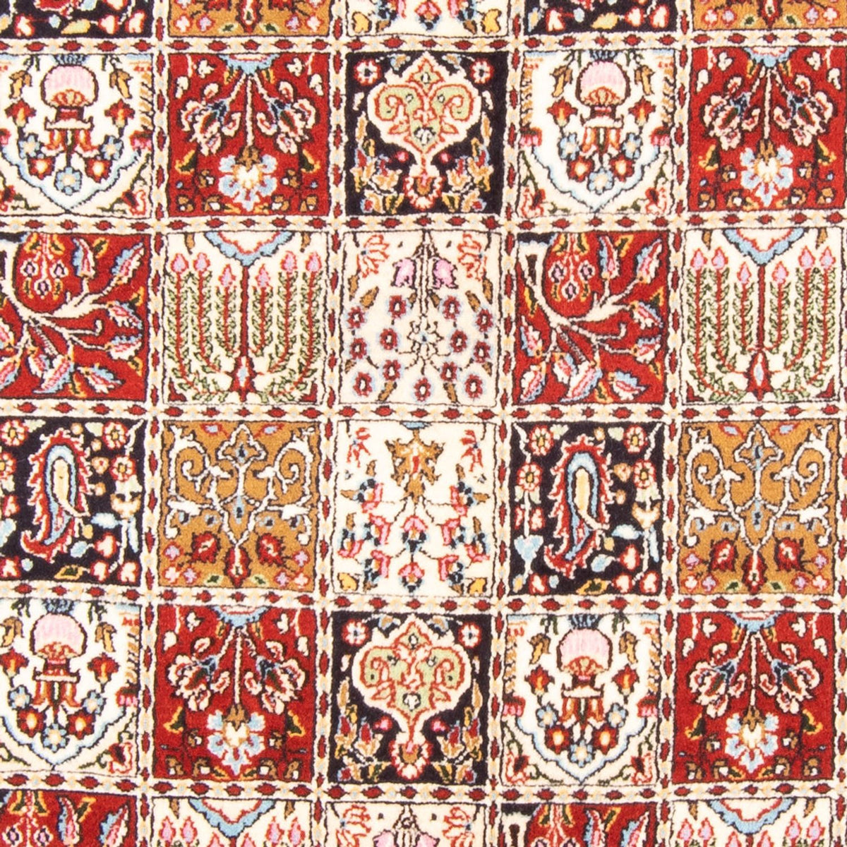 Persisk tæppe - Classic - 239 x 170 cm - flerfarvet