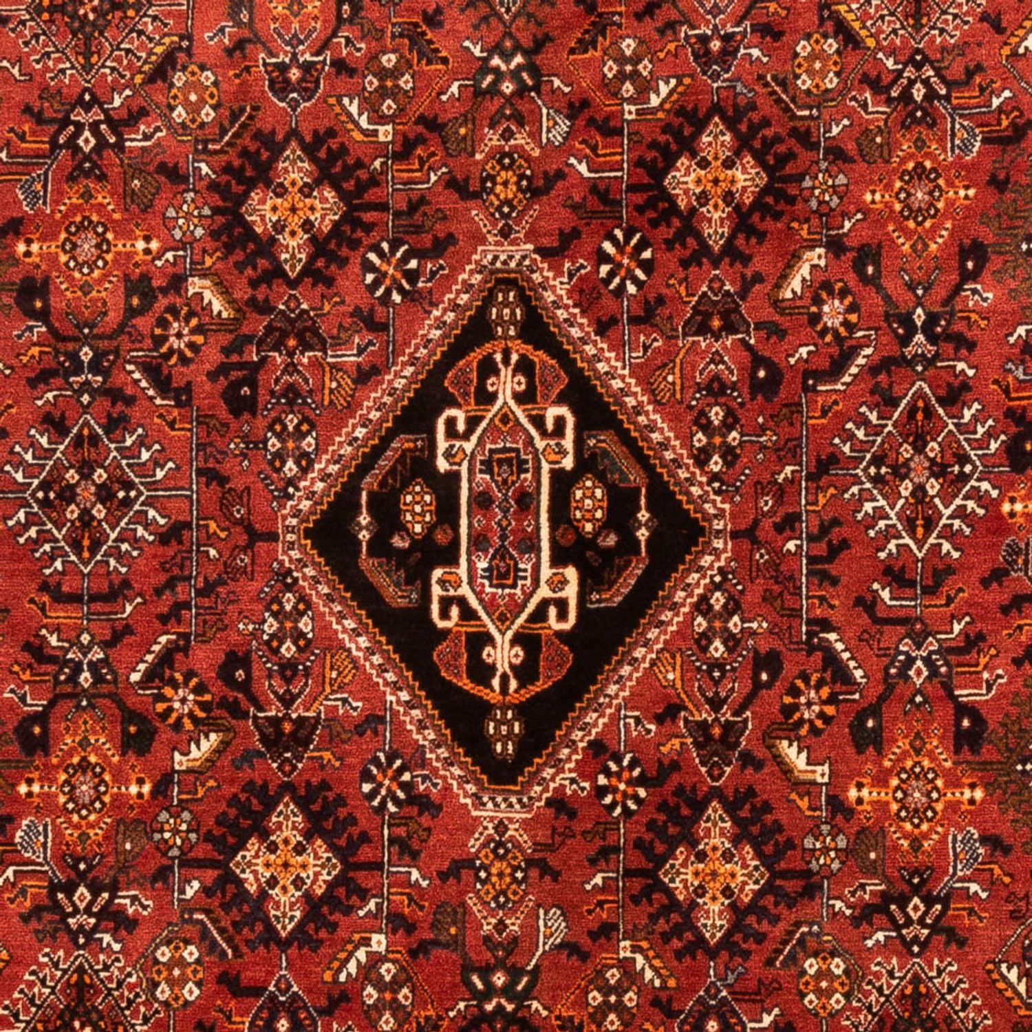 Persisk tæppe - Nomadisk - 252 x 167 cm - rød