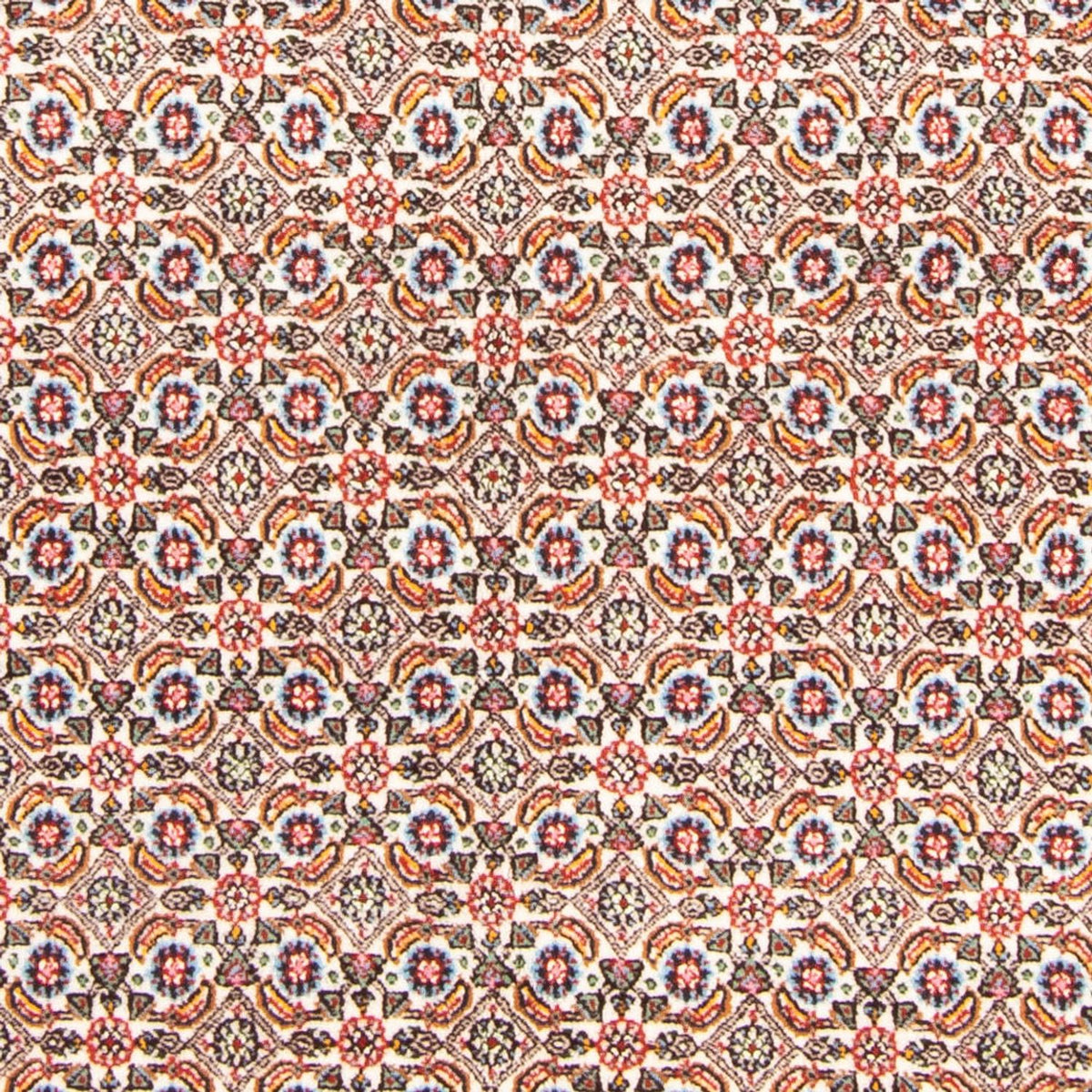 Persisk tæppe - Classic - 185 x 147 cm - creme