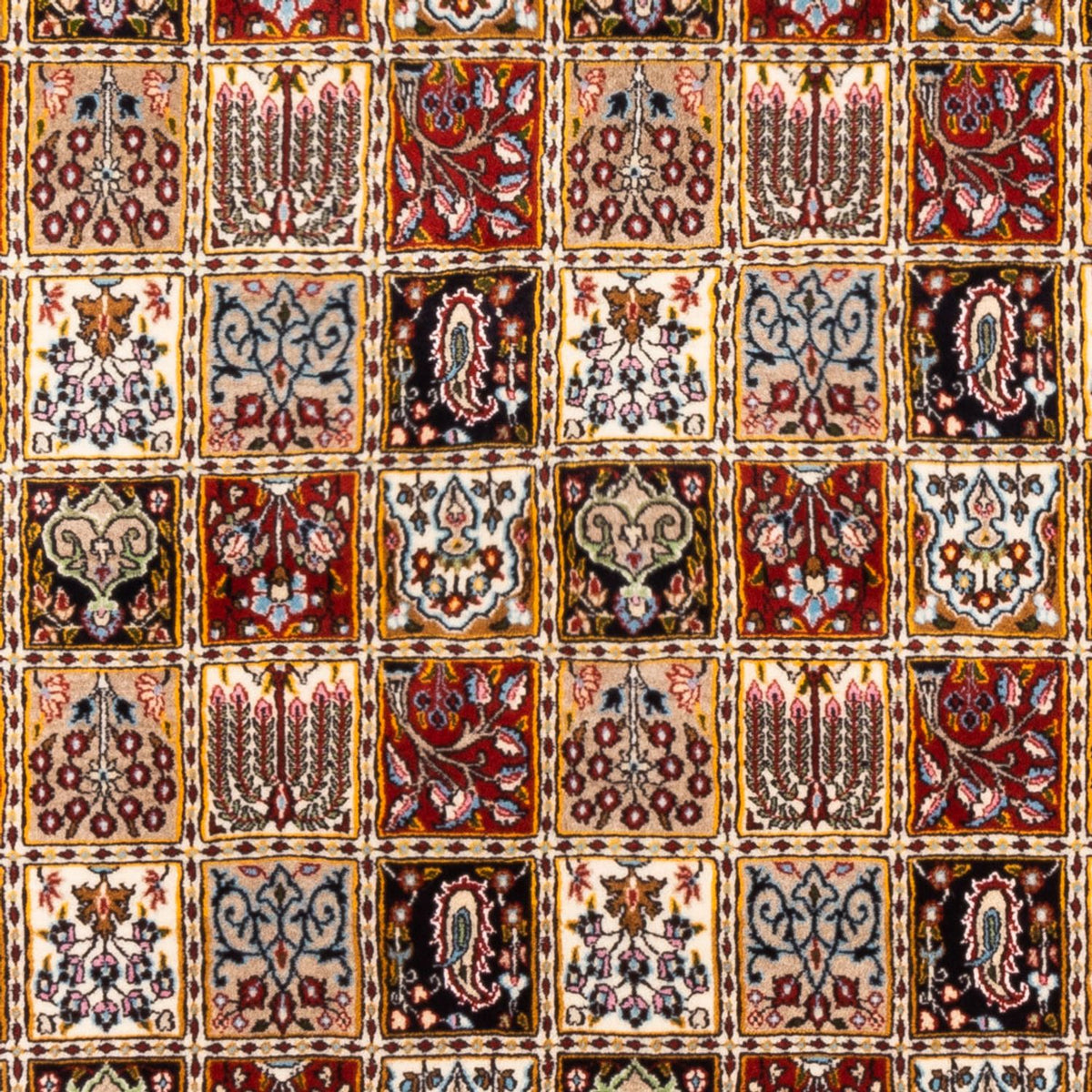 Persisk tæppe - Classic - 234 x 165 cm - flerfarvet