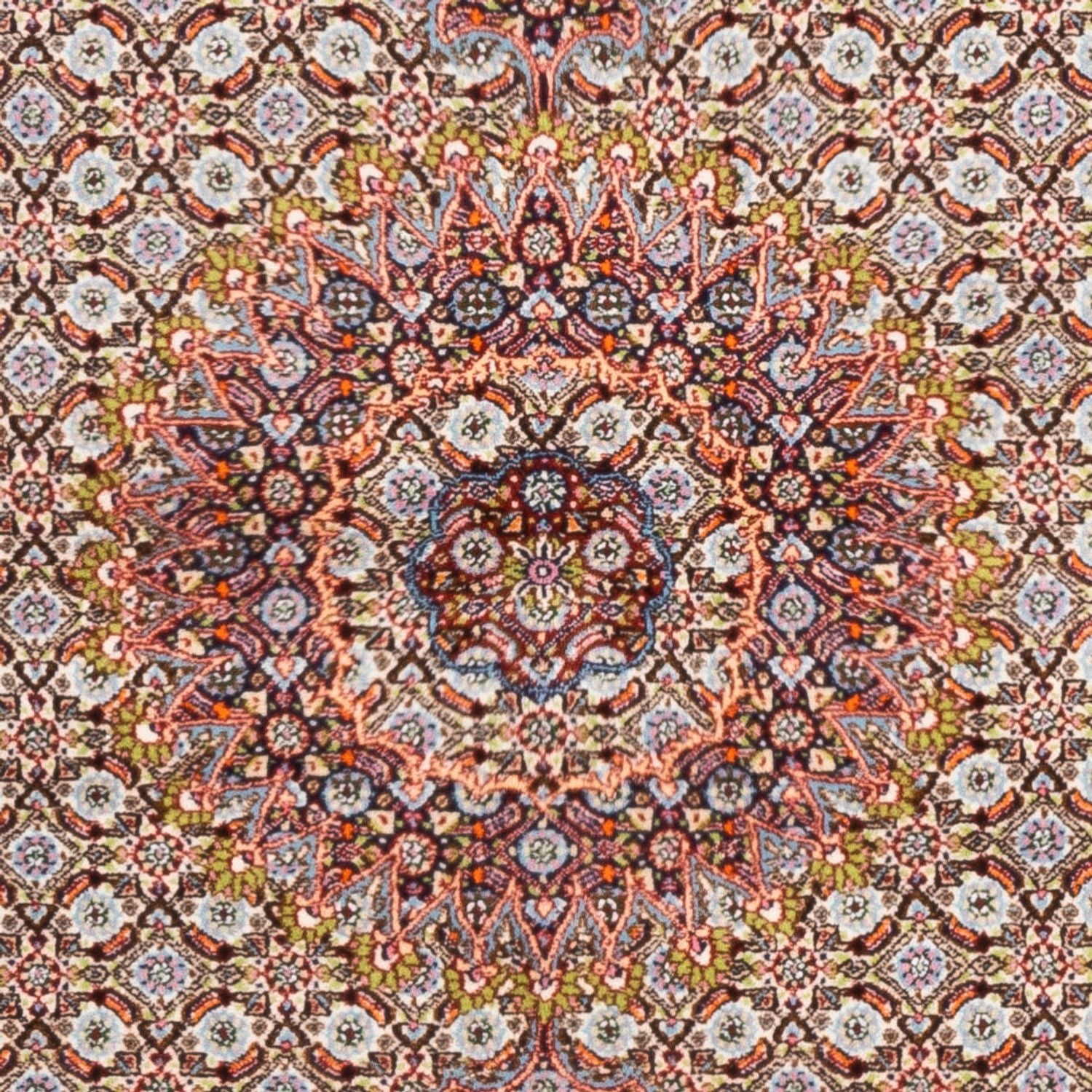 Persisk tæppe - Classic - 232 x 159 cm - creme
