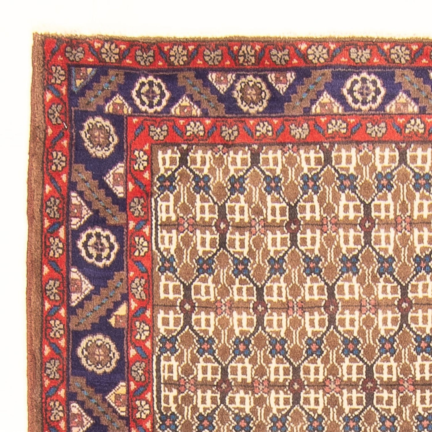 Kolyai Tæppe 220x112cm - Persisk tæppe