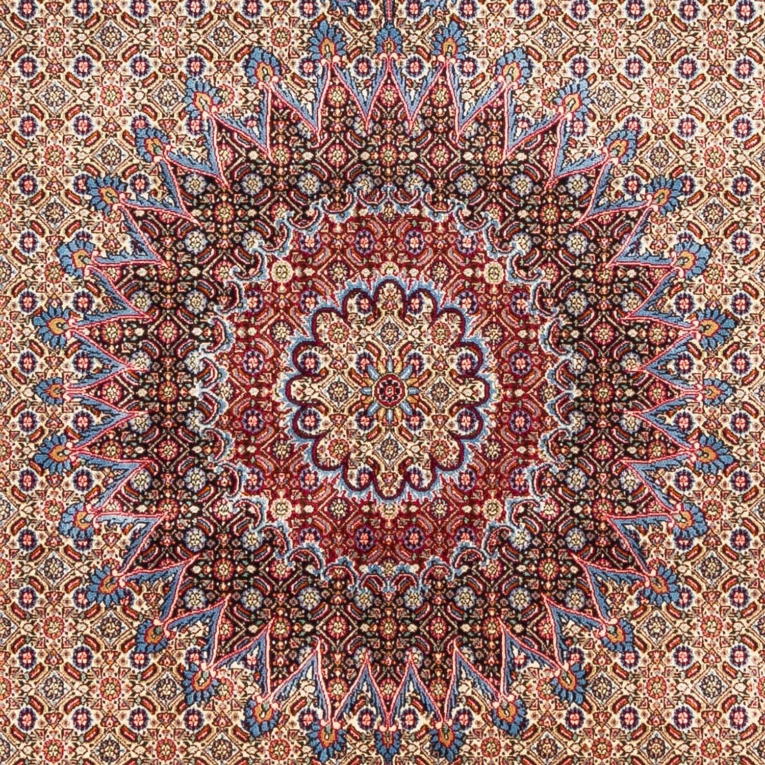 Persisk tæppe - Classic - 290 x 200 cm - beige