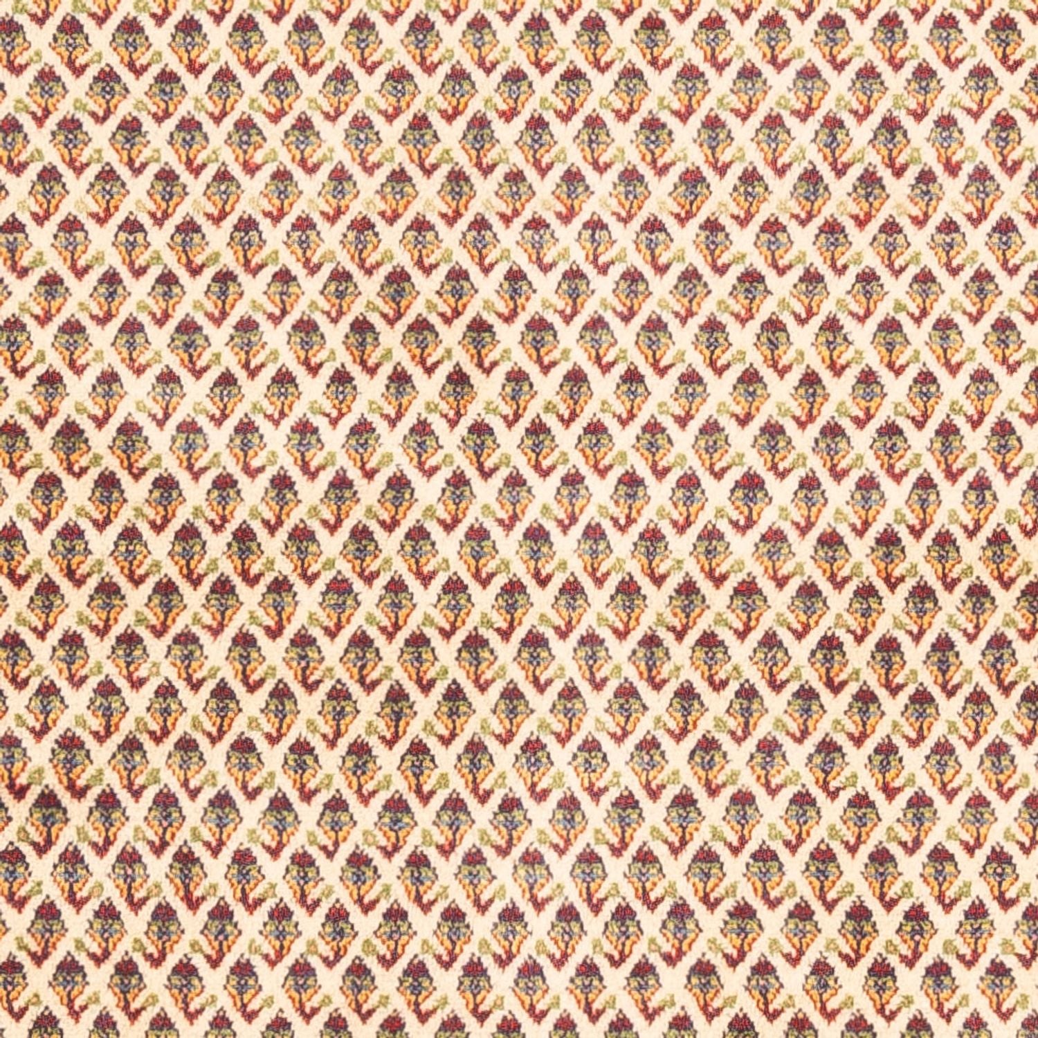 Persisk tæppe - Mir - 254 x 213 cm - lys beige