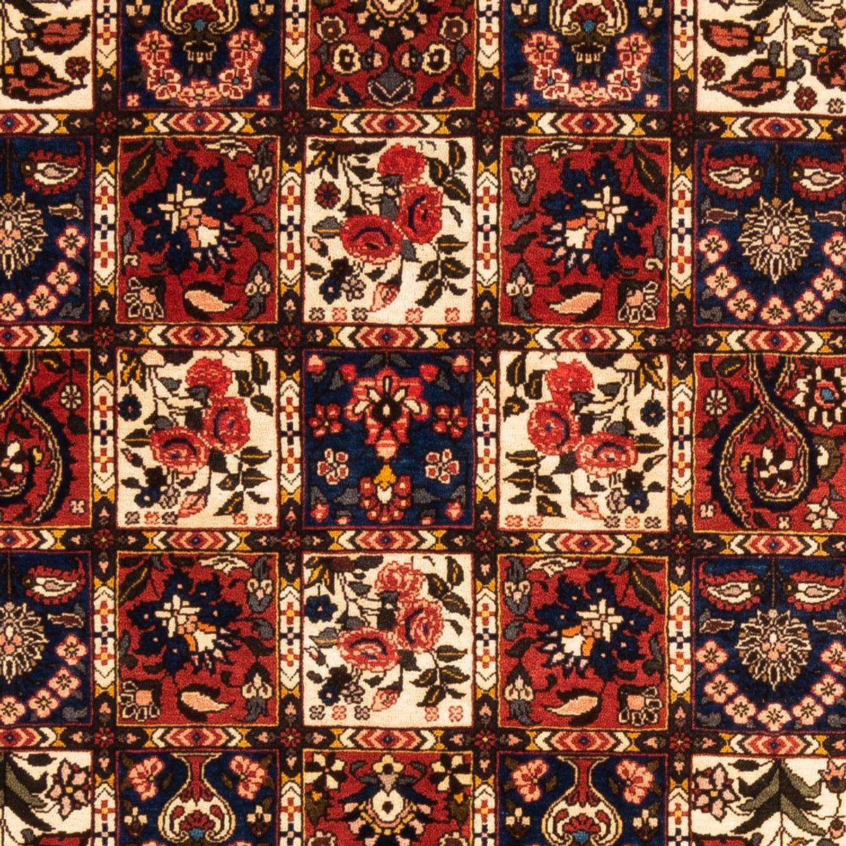 Persisk tæppe - Nomadisk - 250 x 155 cm - flerfarvet