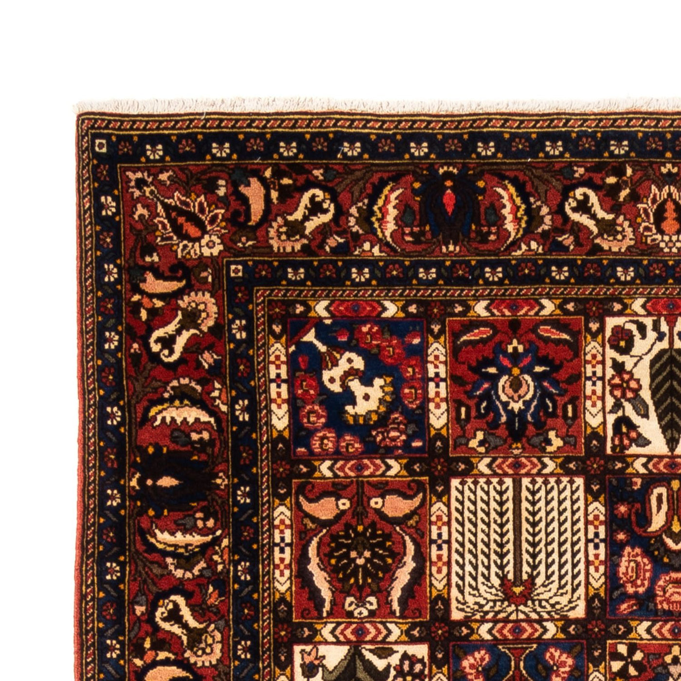 Bakhtiari Tæppe 250x155cm - Persisk tæppe