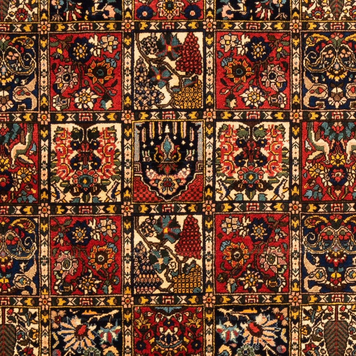 Persisk tæppe - Nomadisk - 250 x 155 cm - flerfarvet