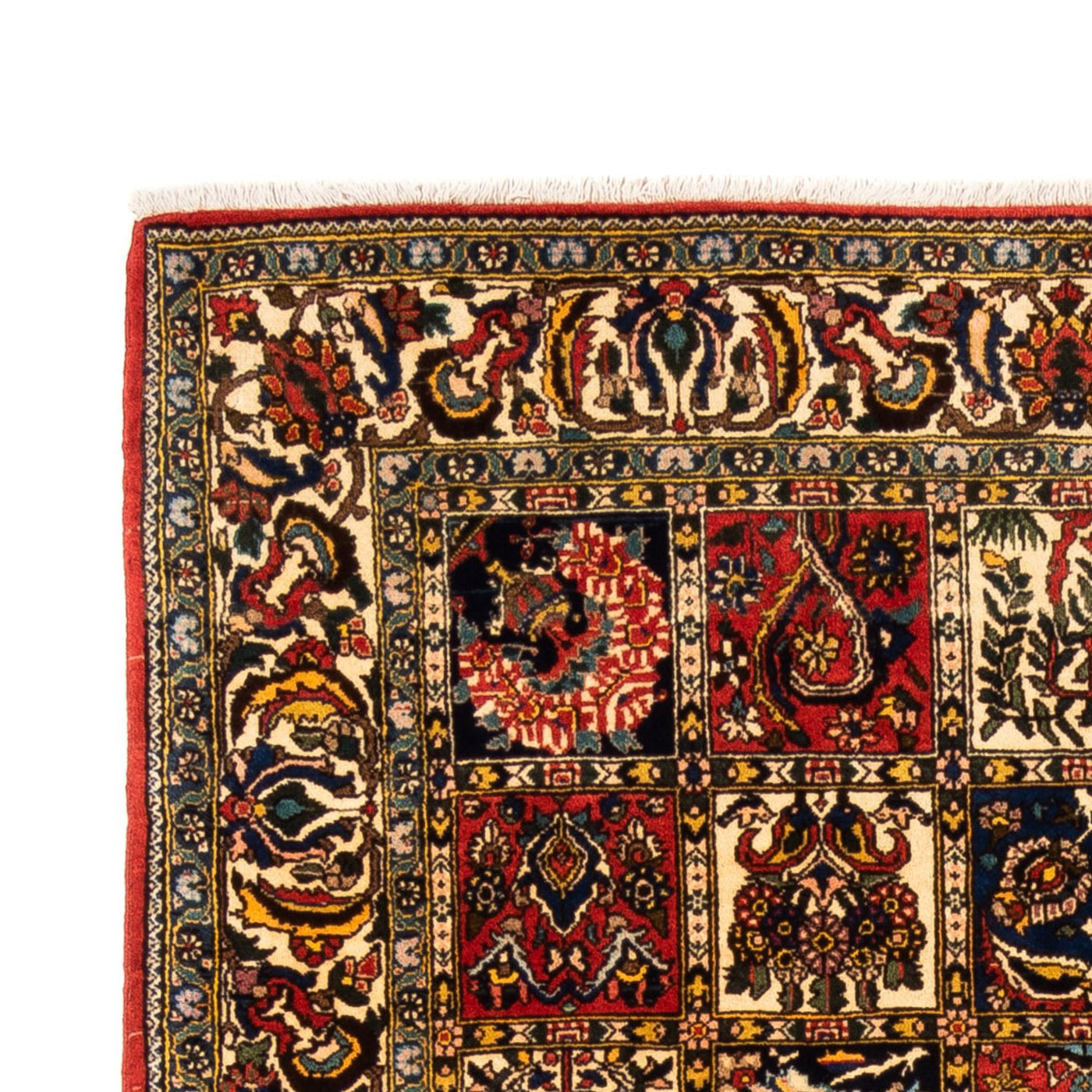 Bakhtiari Tæppe 250x155cm - Persisk tæppe