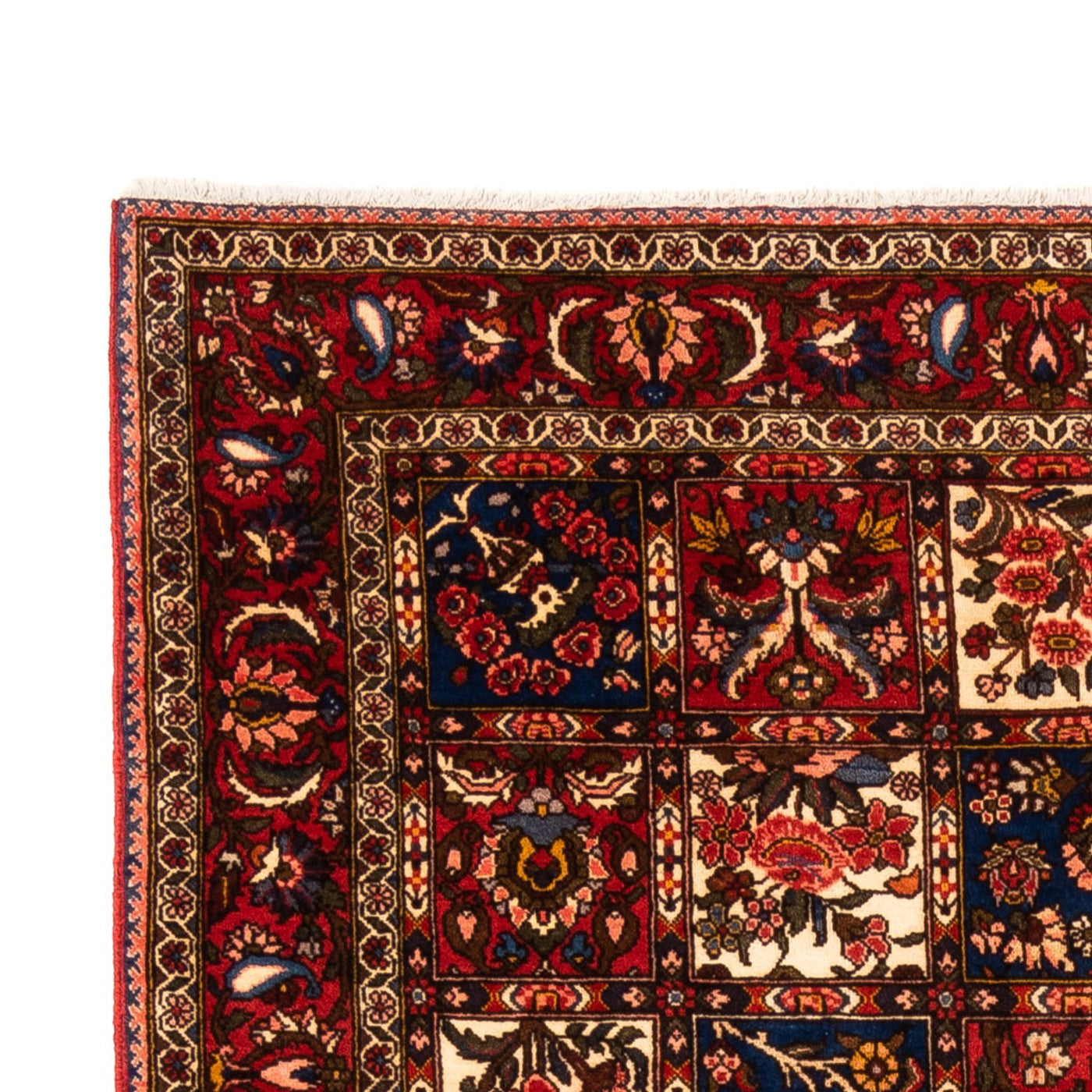 Bakhtiari Tæppe 260x157cm - Persisk tæppe