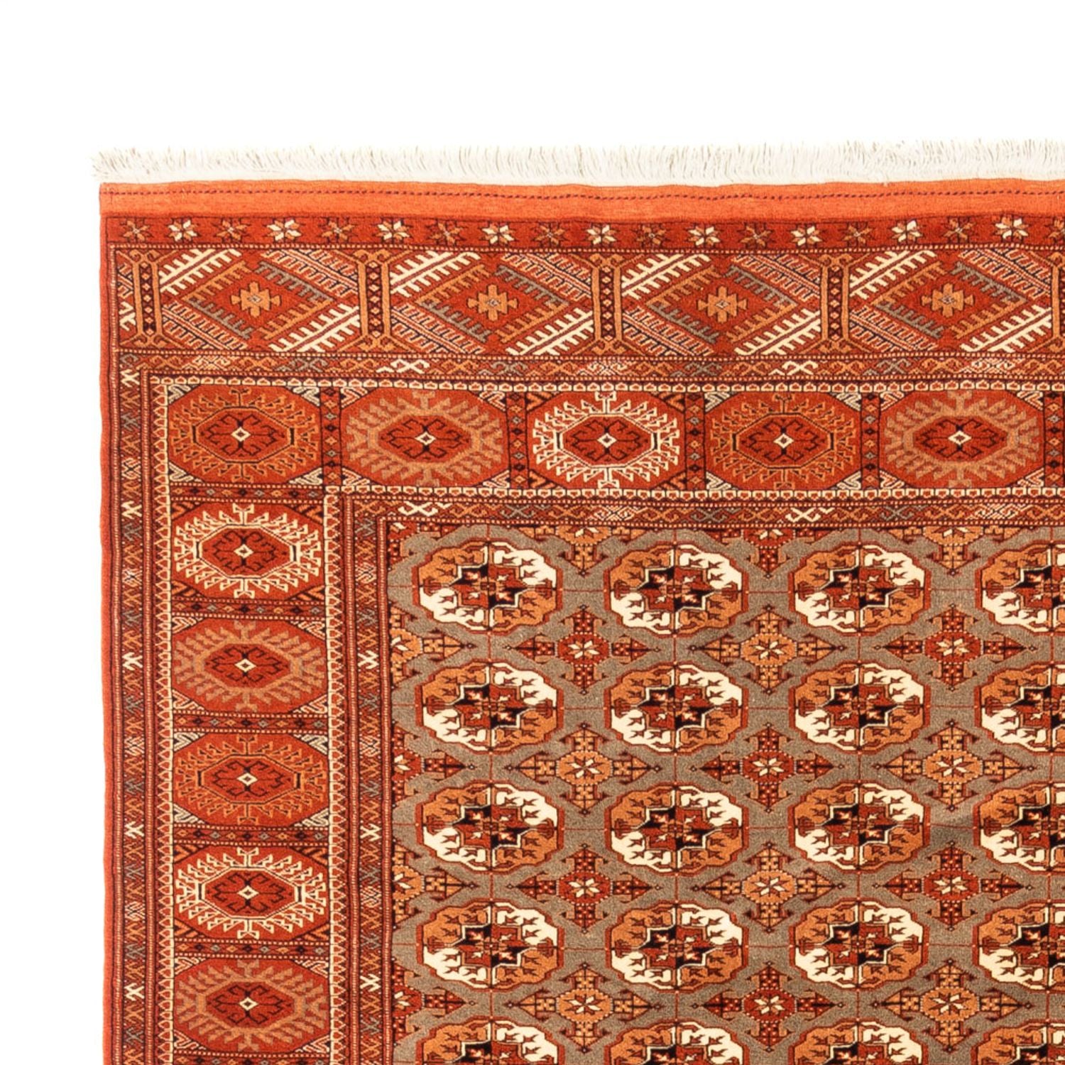 Turkaman-tæppe - 305 x 205 cm - mørk beige
