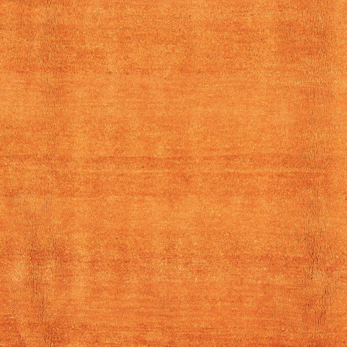 Gabbeh-tæppe - Persisk - 313 x 239 cm - guld