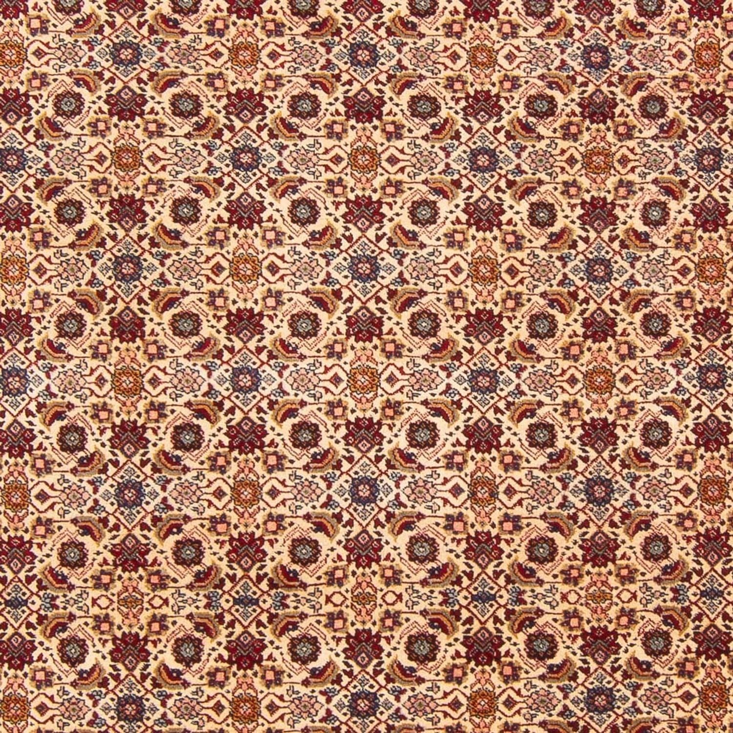 Persisk tæppe - Classic - 302 x 200 cm - creme