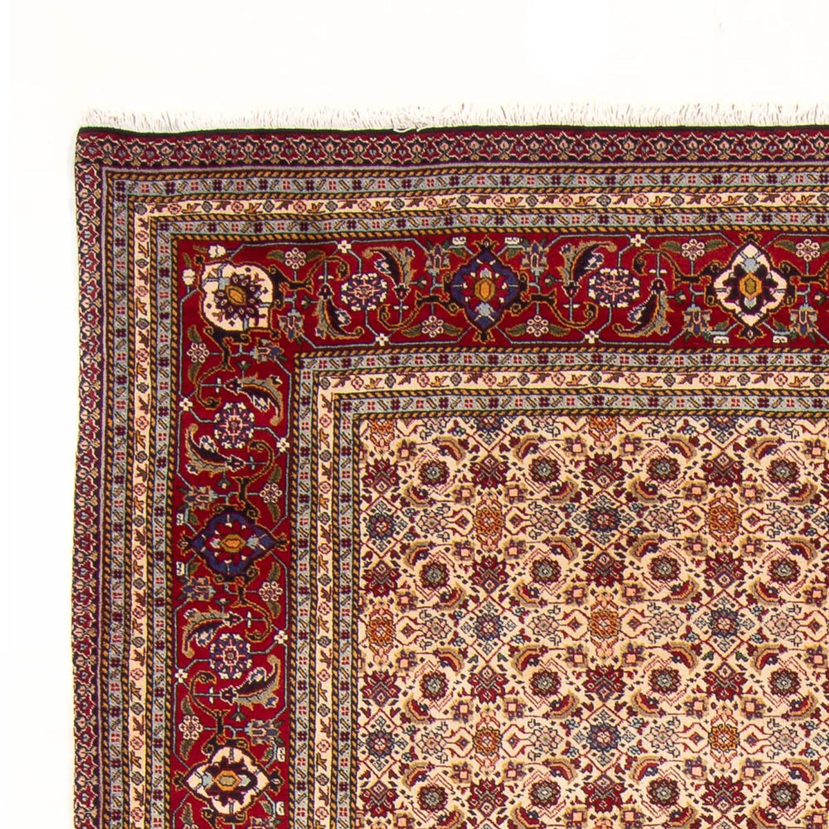 Persisk tæppe - Classic - 302 x 200 cm - creme