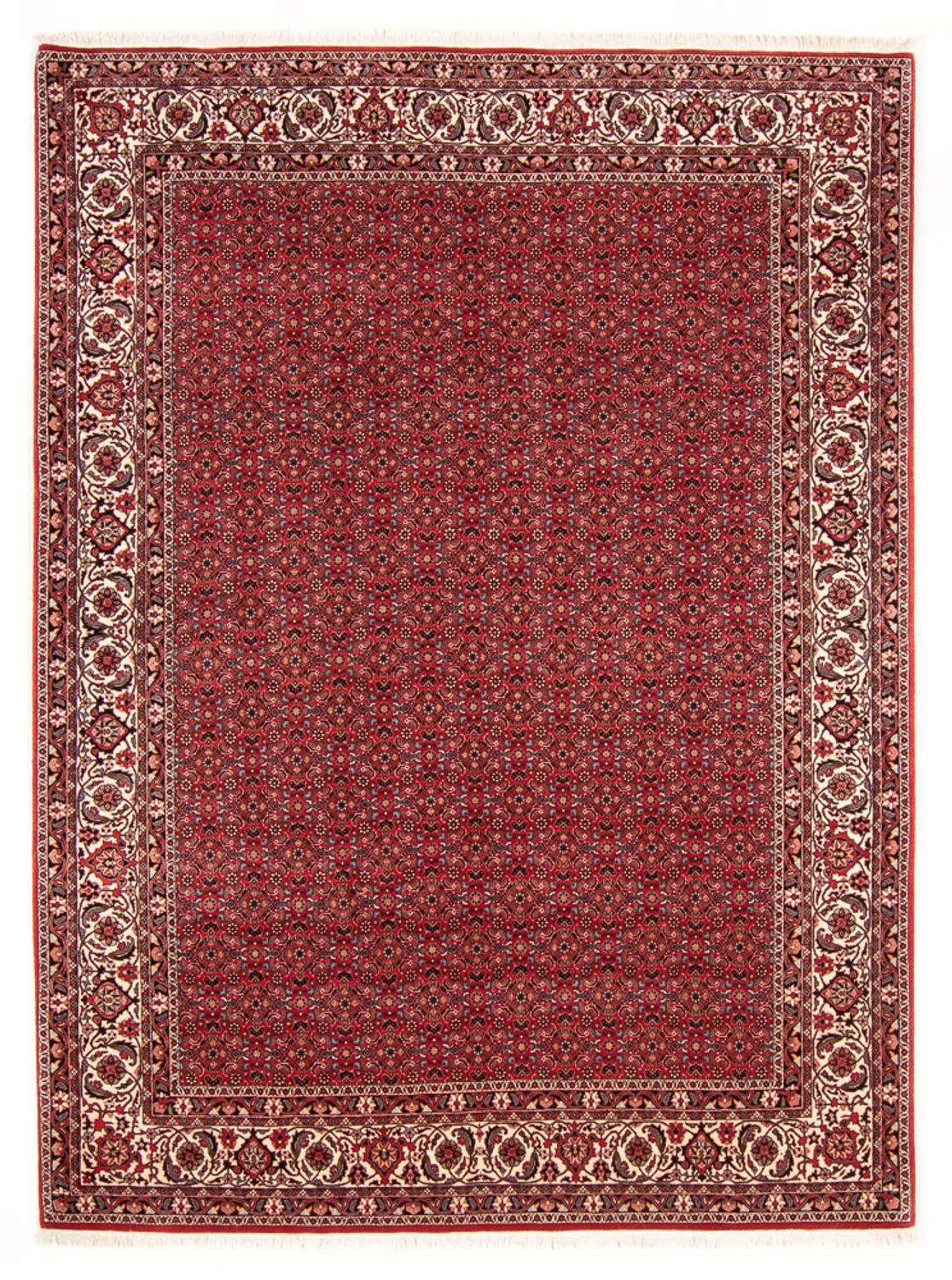 Persisk tæppe - Bijar - Royal - 272 x 217 cm - mørkerød