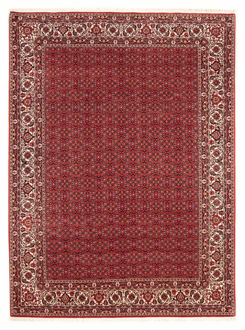Persisk tæppe - Bijar - Royal - 272 x 217 cm - mørkerød