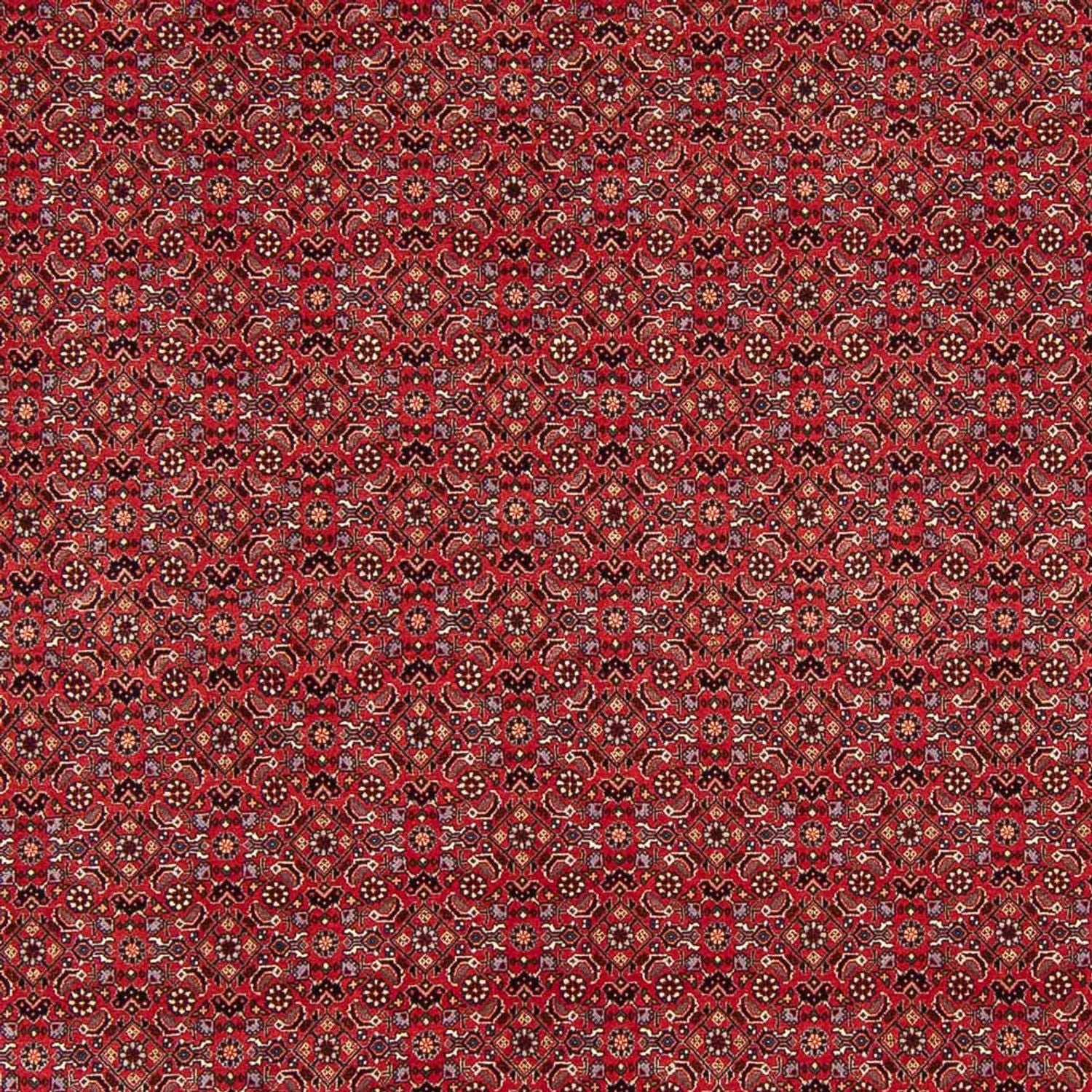 Persisk tæppe - Bijar - Royal - 272 x 217 cm - mørkerød