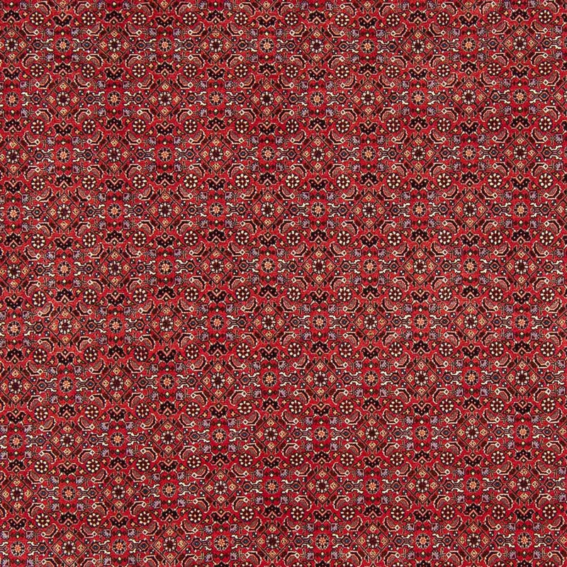 Persisk tæppe - Bijar - Royal - 272 x 217 cm - mørkerød