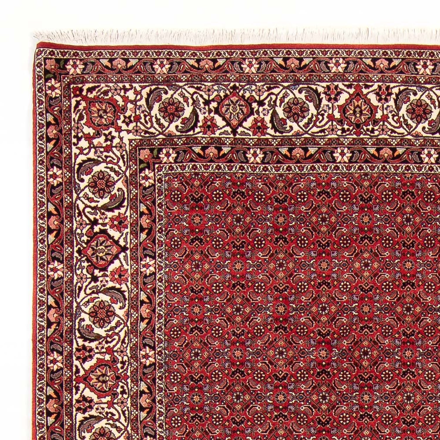 Persisk tæppe - Bijar - Royal - 272 x 217 cm - mørkerød