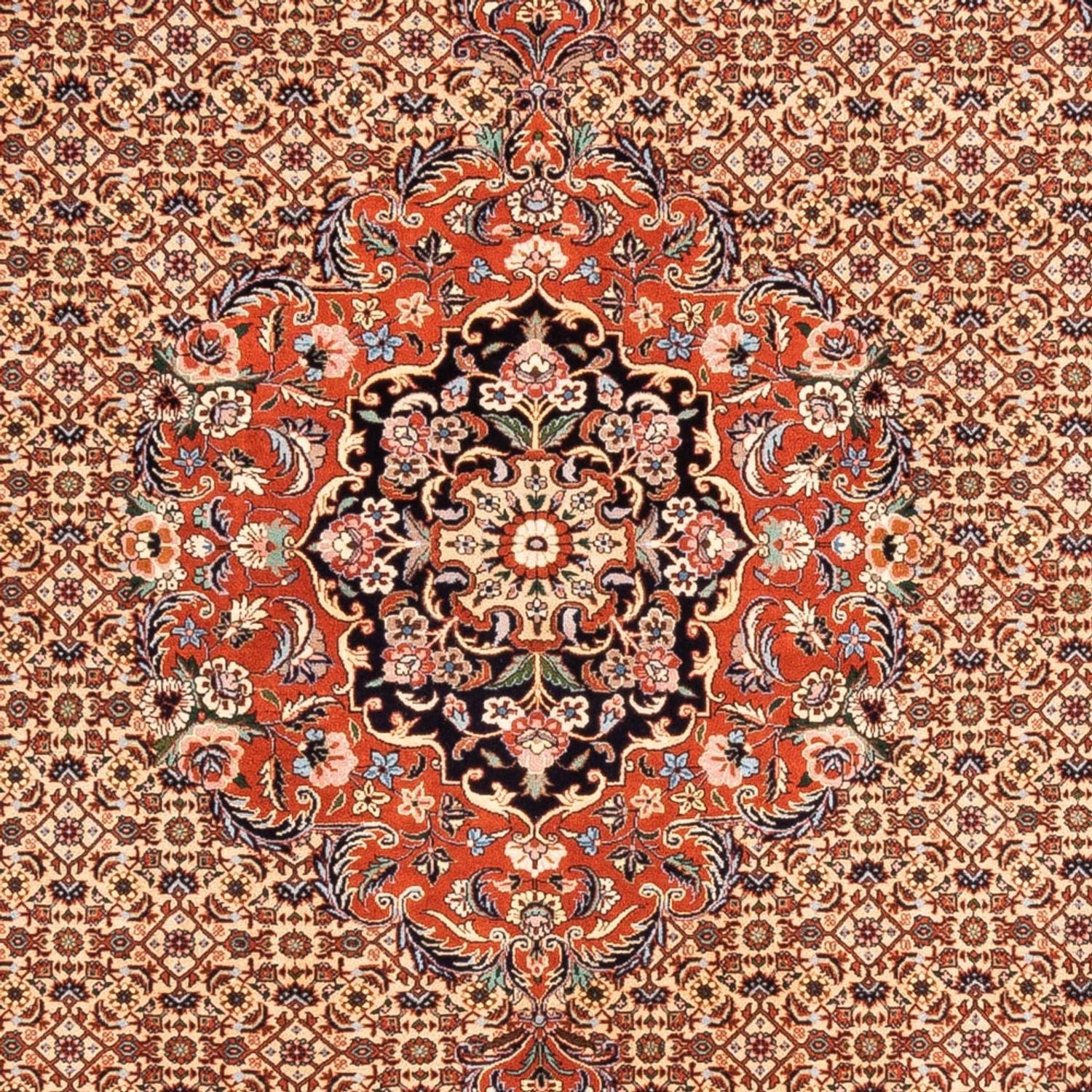Persisk tæppe - Bijar - Royal - 231 x 178 cm - beige