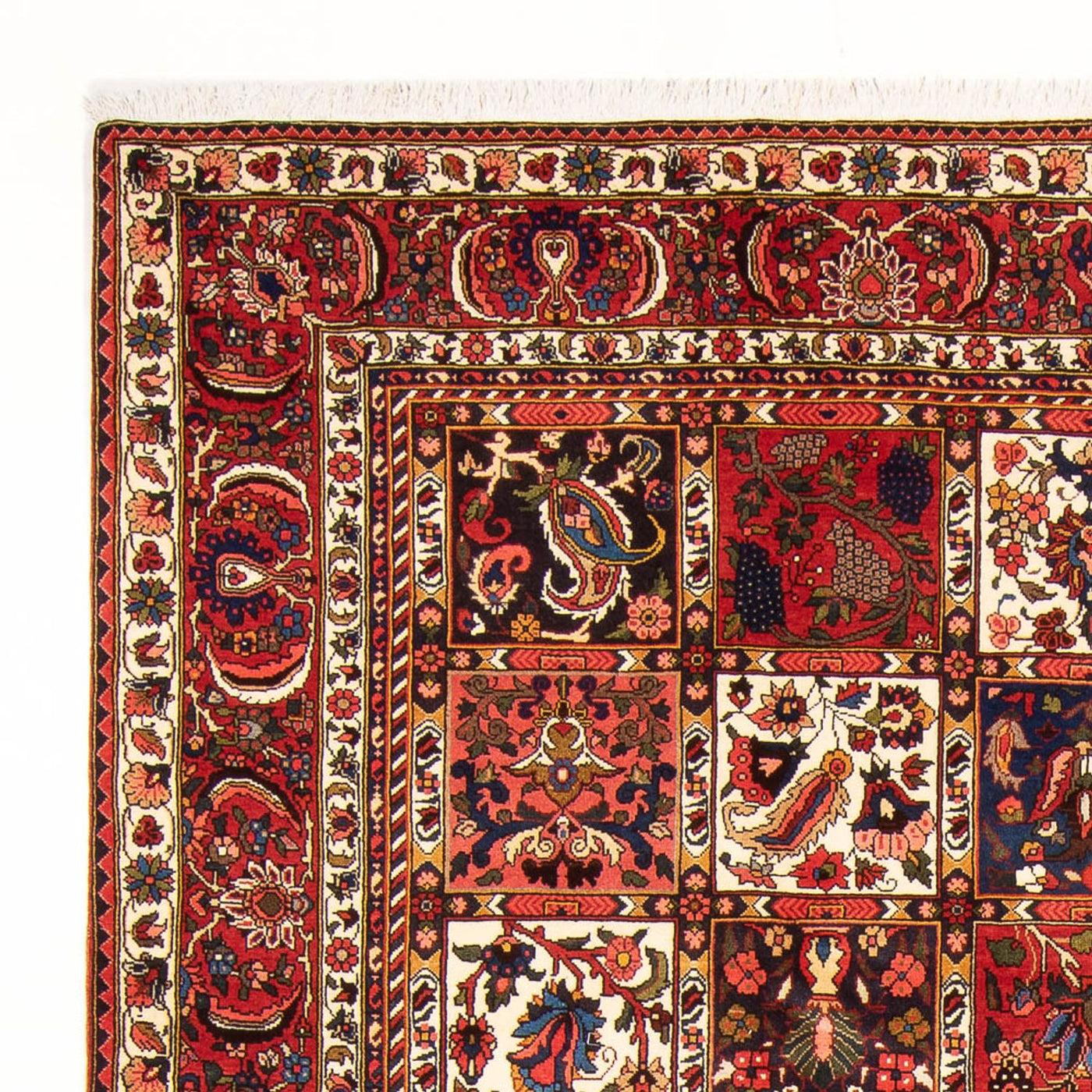 Bakhtiari Tæppe 314x210cm - Persisk tæppe