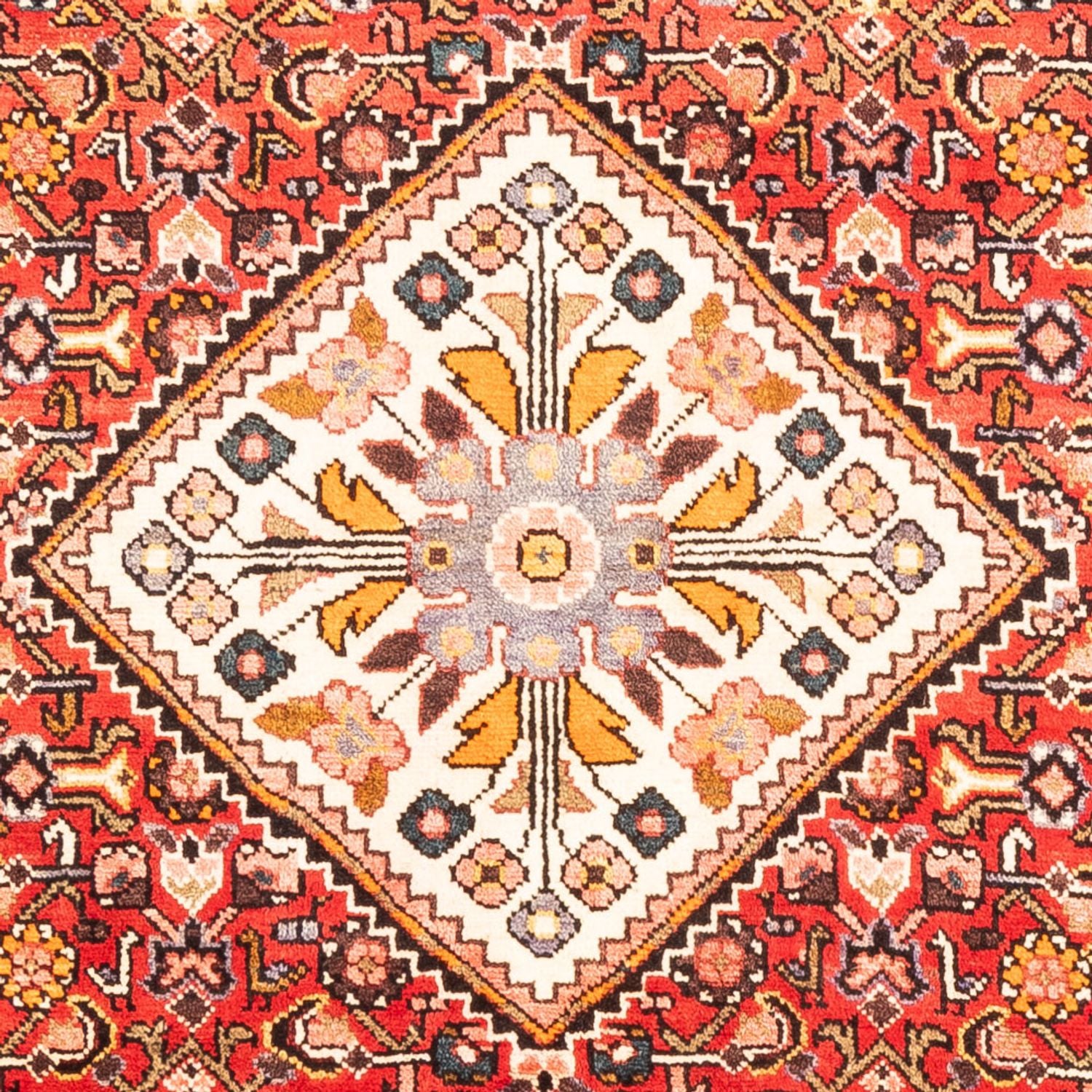 Persisk tæppe - Nomadisk - 315 x 160 cm - rød