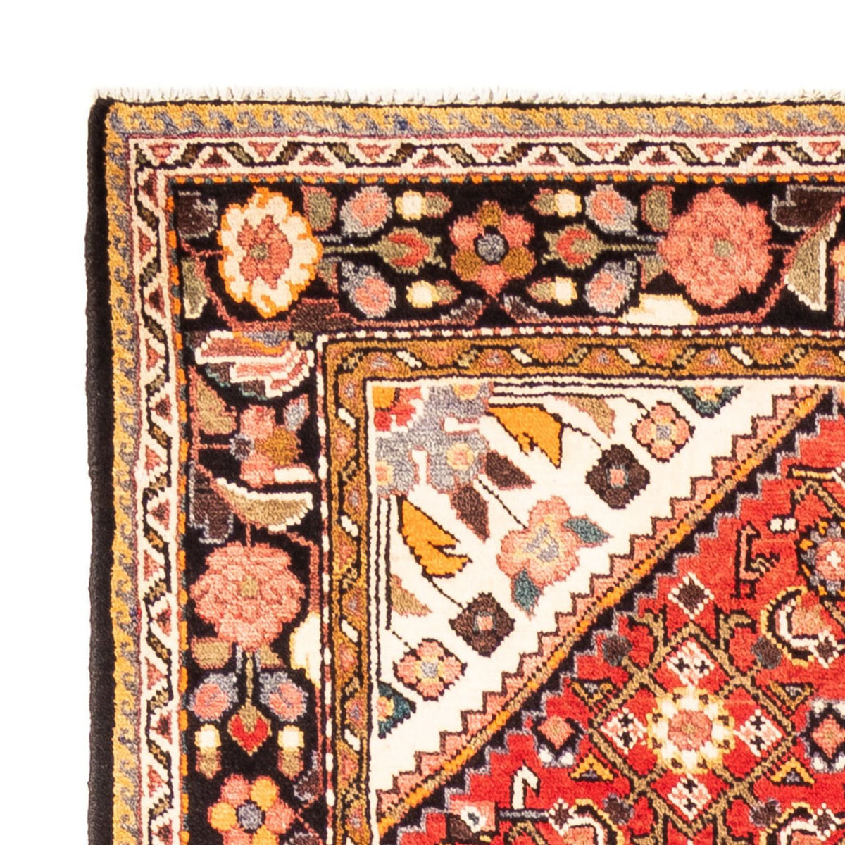 Hosseinabad Tæppe 160x315cm - Persisk tæppe