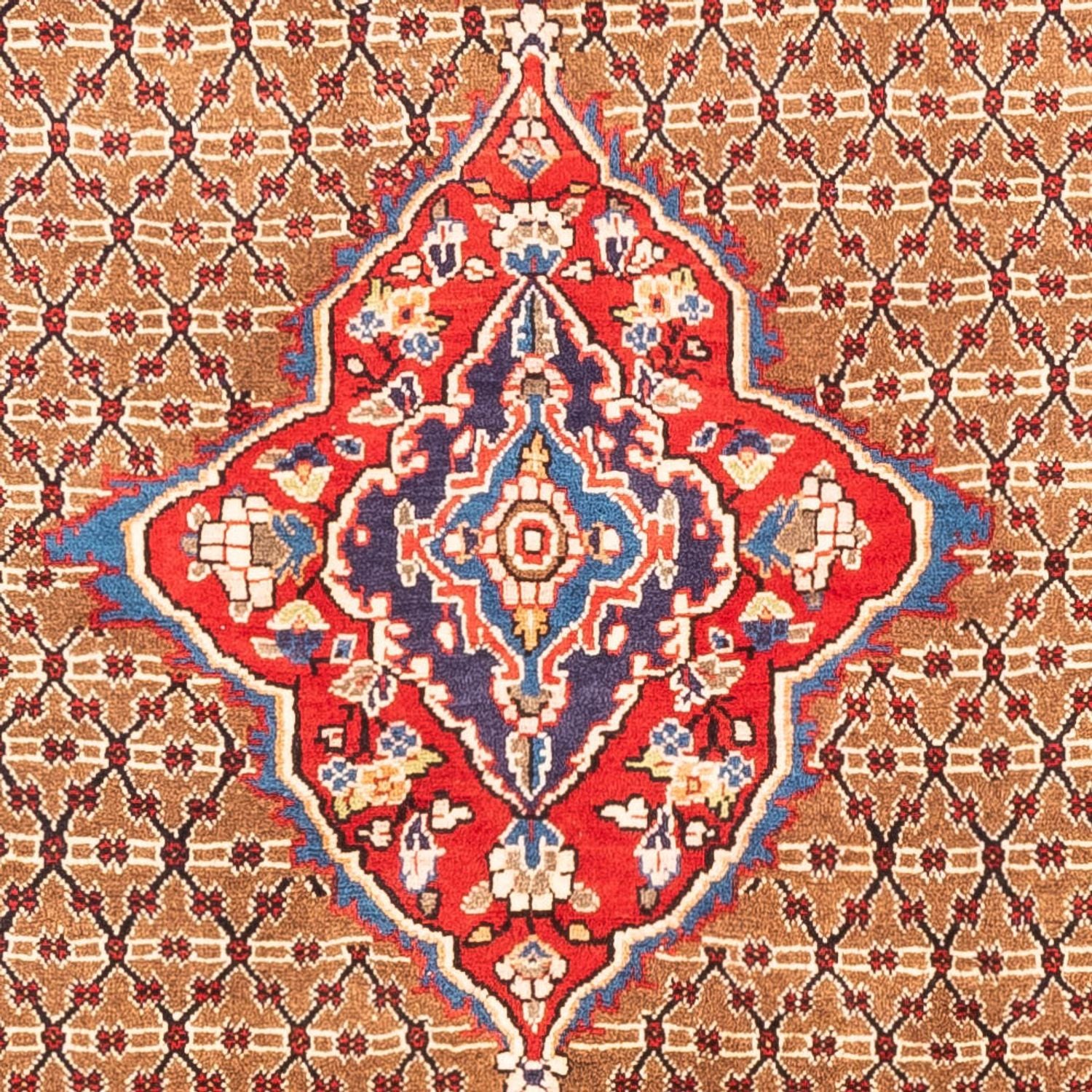 Persisk tæppe - Nomadisk - 312 x 164 cm - rød