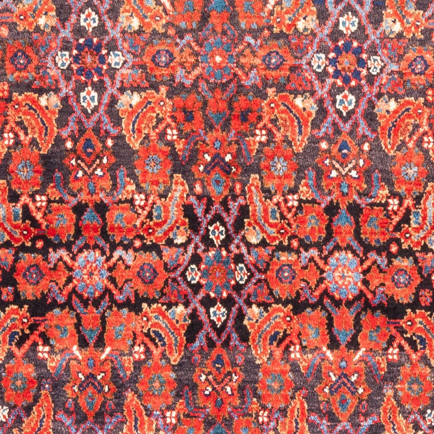 Persisk tæppe - Nomadisk - 320 x 163 cm - rød