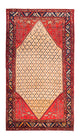 Kolyai Tæppe 273x153cm - Persisk tæppe