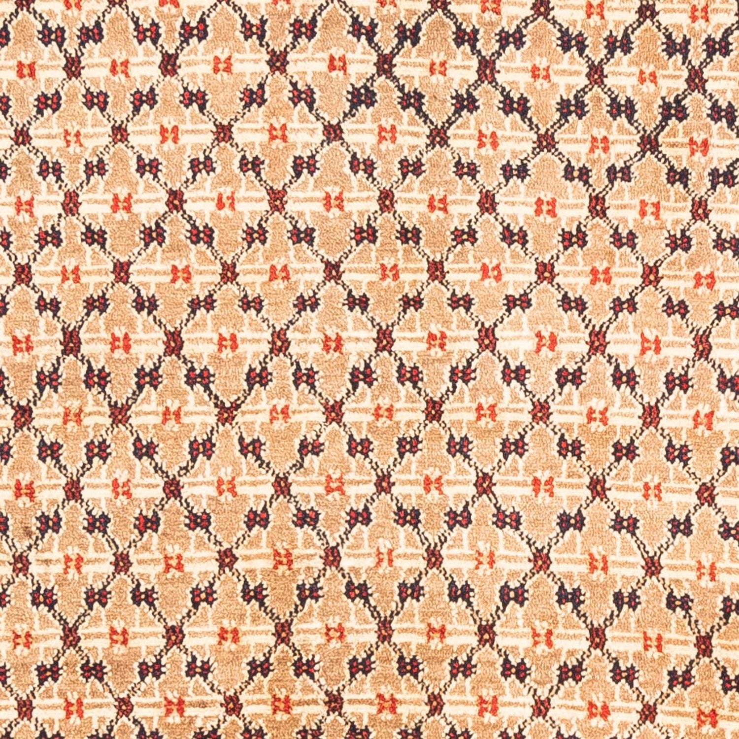 Persisk tæppe - Nomadisk - 273 x 153 cm - creme