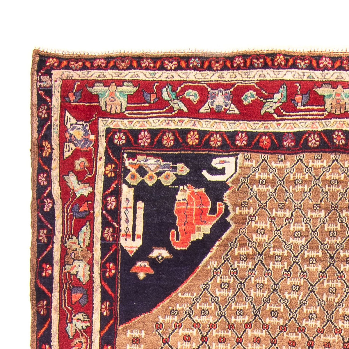 Kolyai Tæppe 160x310cm - Persisk tæppe