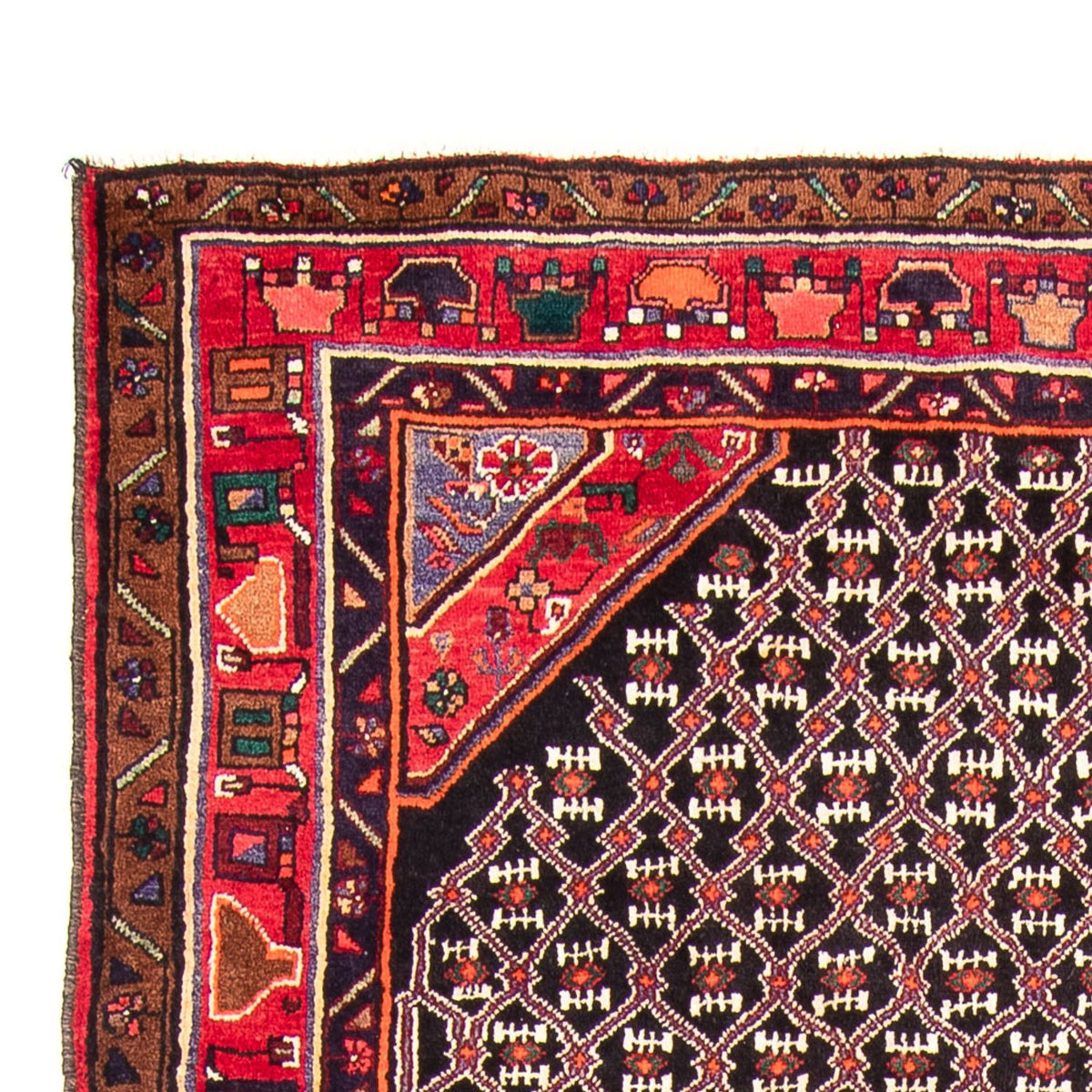 Kolyai Tæppe 152x313cm - Persisk tæppe